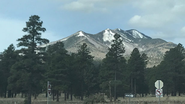 View of the San Francisco Peaks from the east.