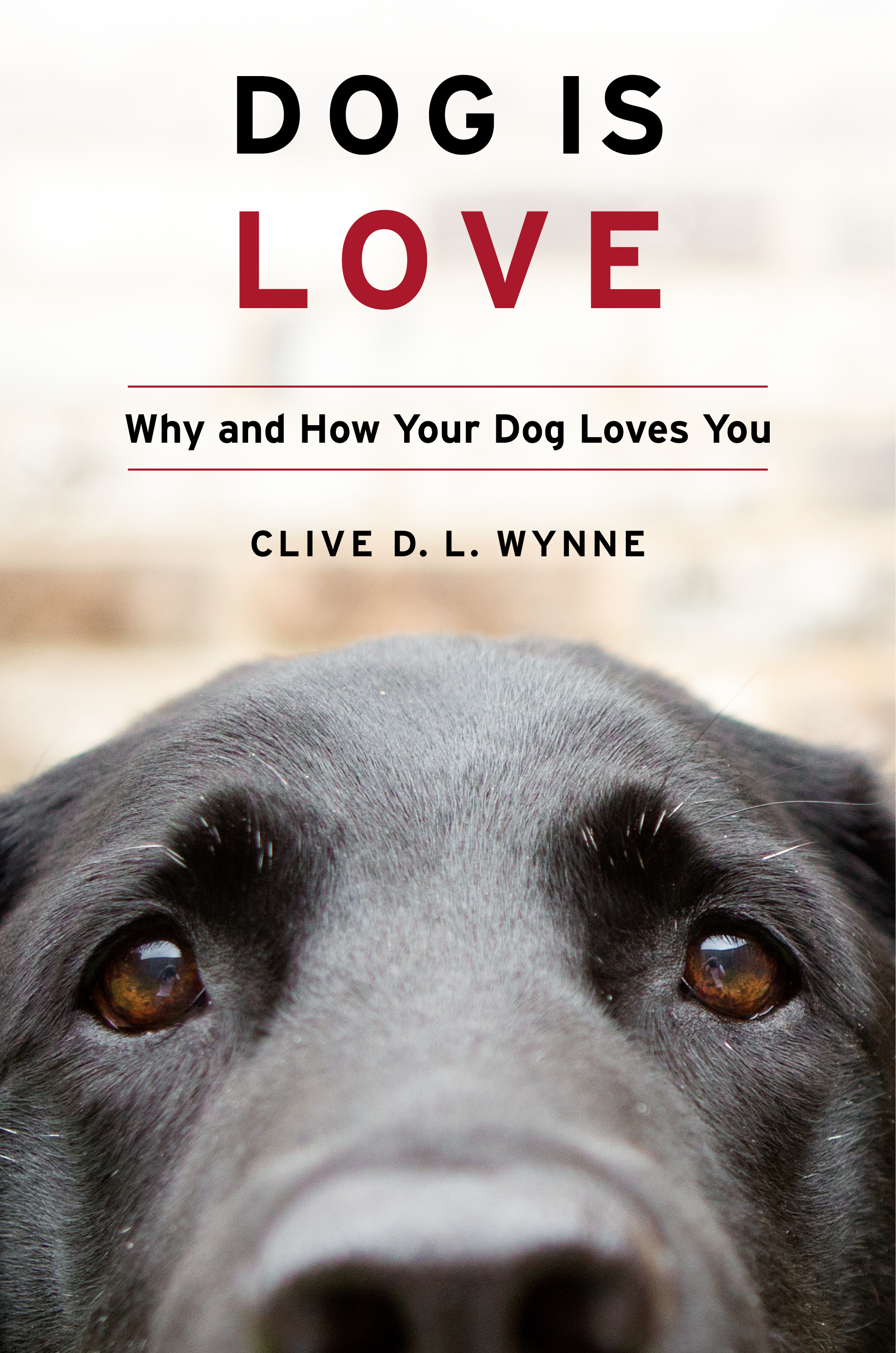 dog is love book cover unsized image