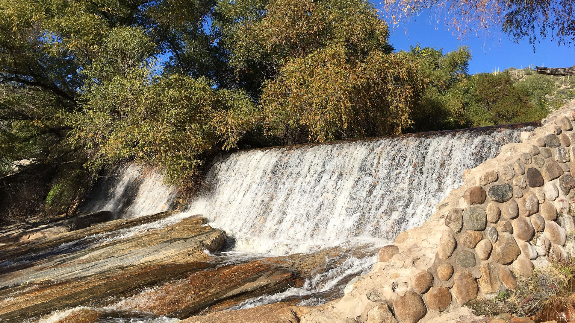 Water flows down the face of Sabino Dam after a heavy winter rain. Intermittent waterways like this one will lose federal protection under the Clean Water Act under a new rule put forward by the Trump administration.