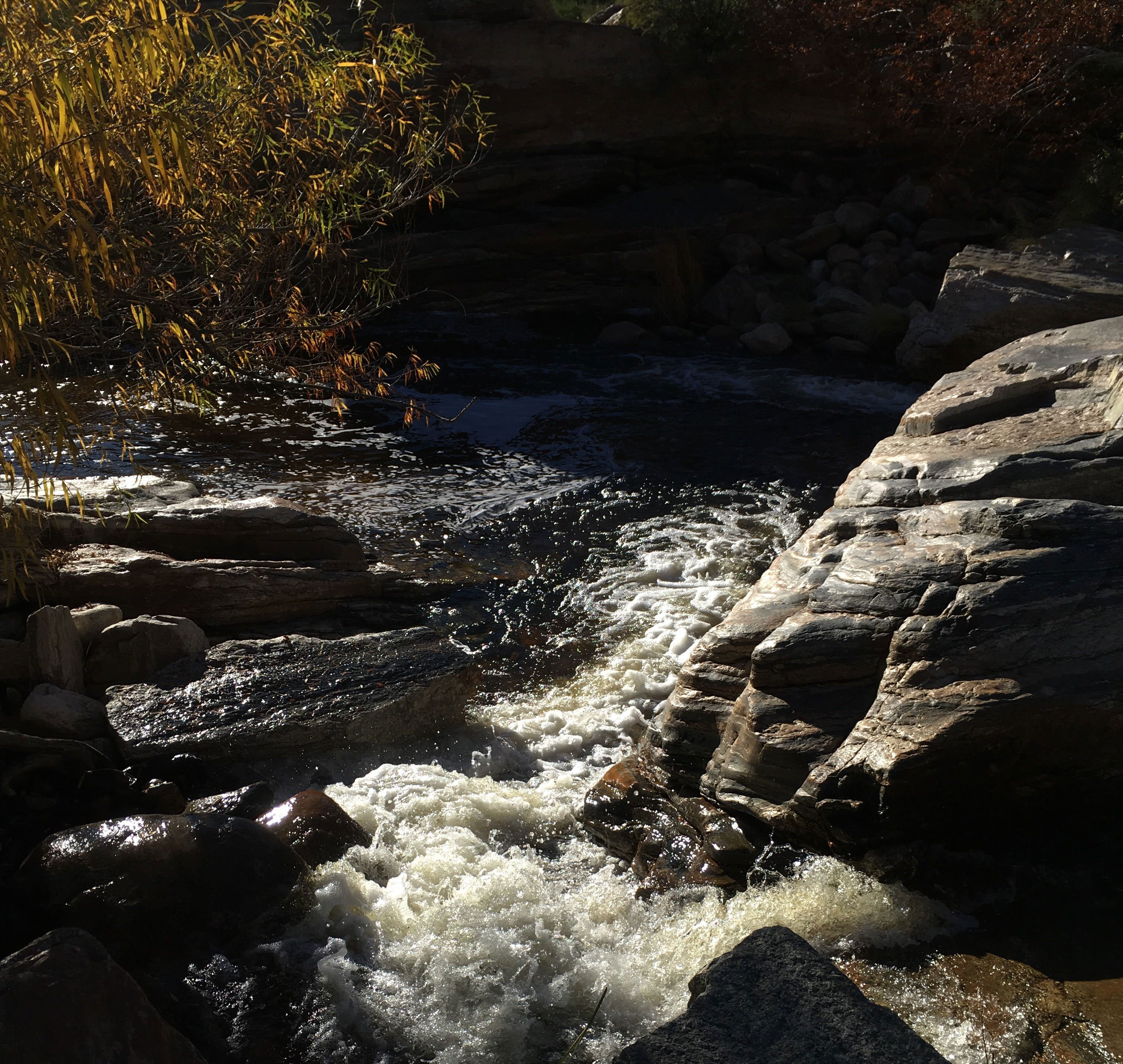 Sabino Creek 3