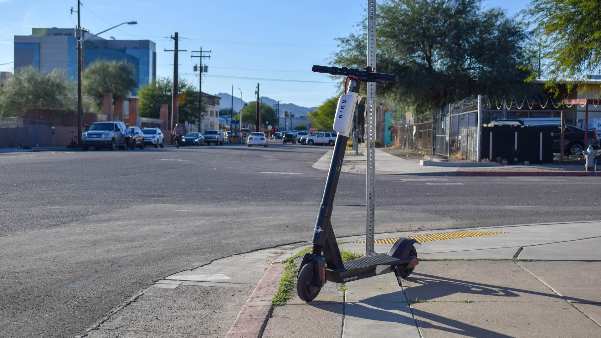 bird-scooter