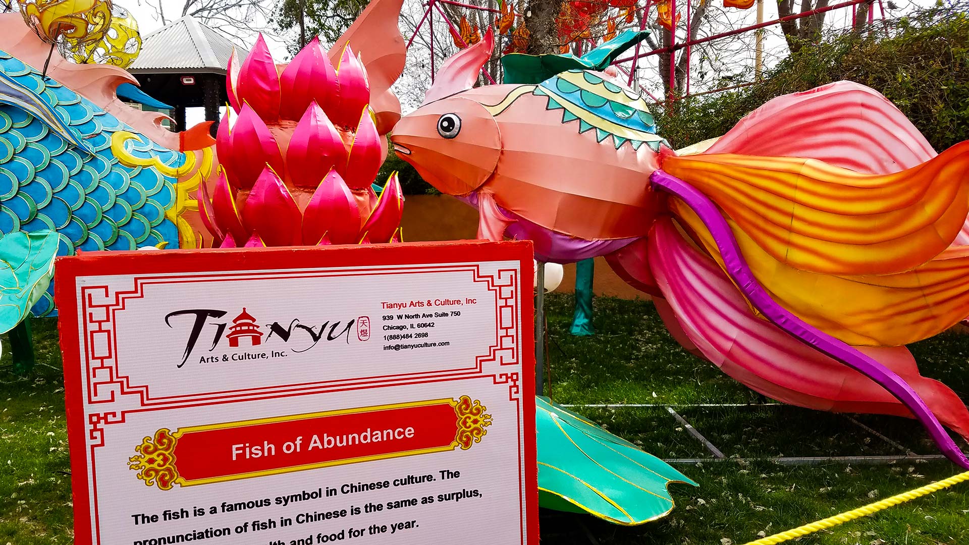 Fish Lantern Festival