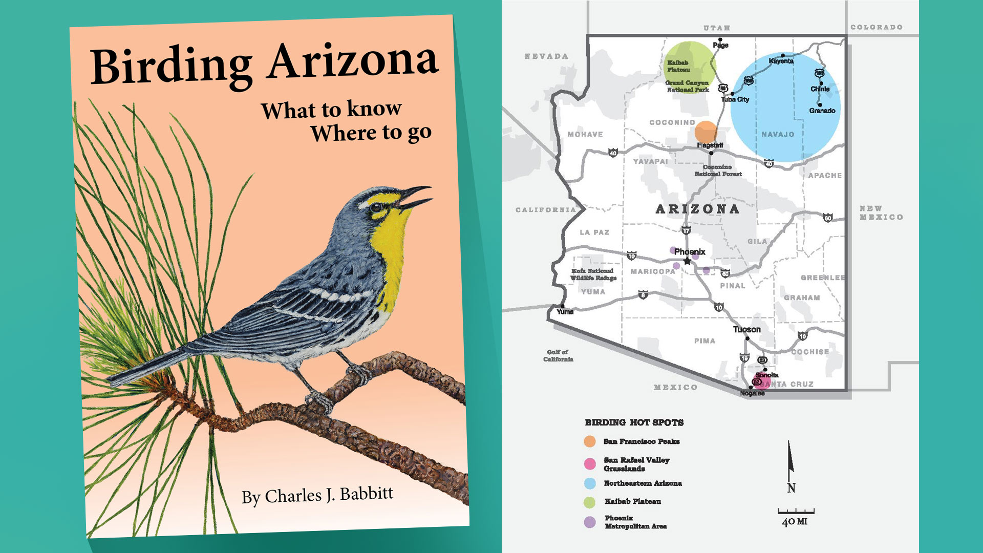 Birding Arizona cover