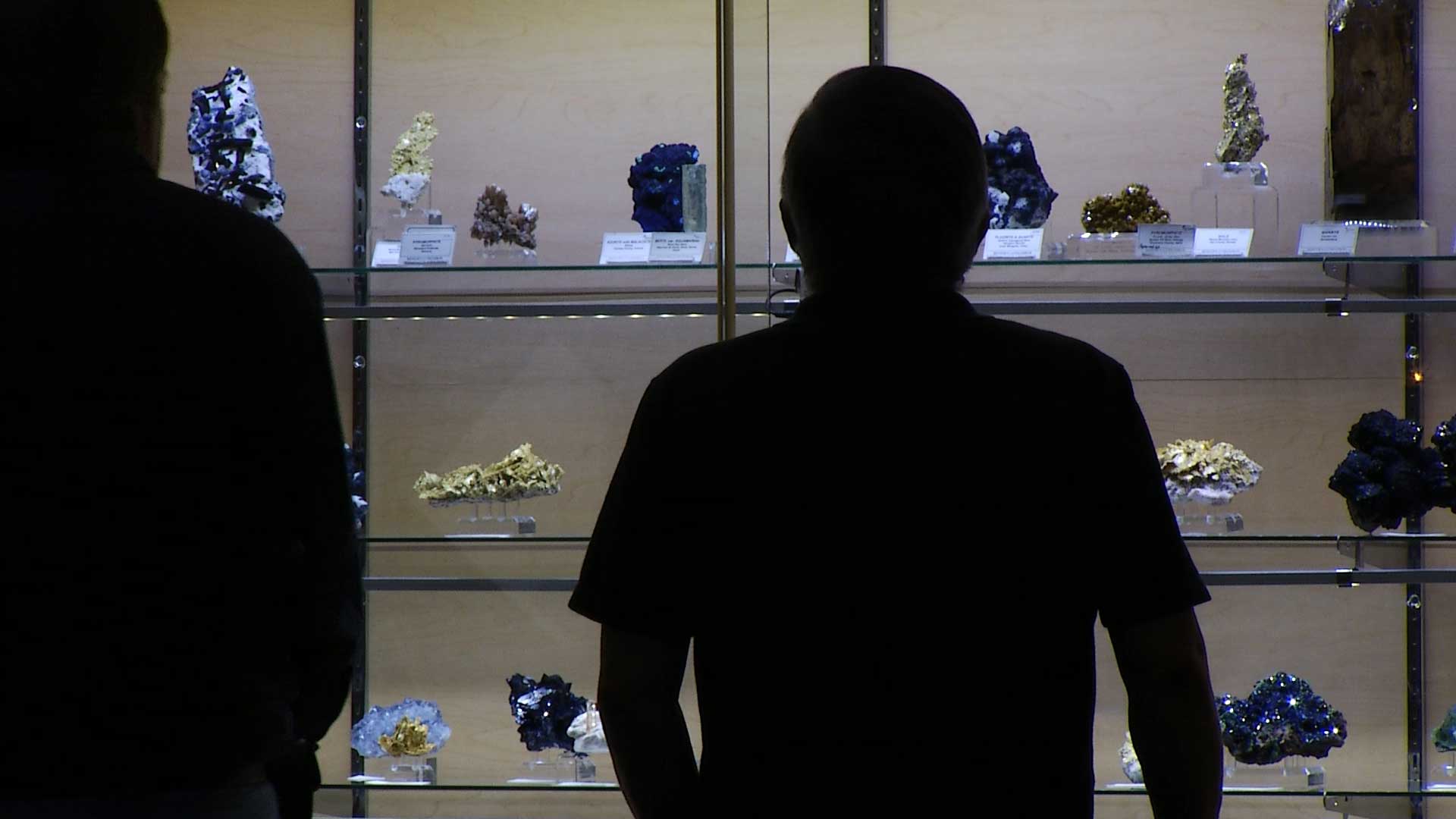 Visitors examine displays at the Tucson Gem and Mineral Show, 2015.