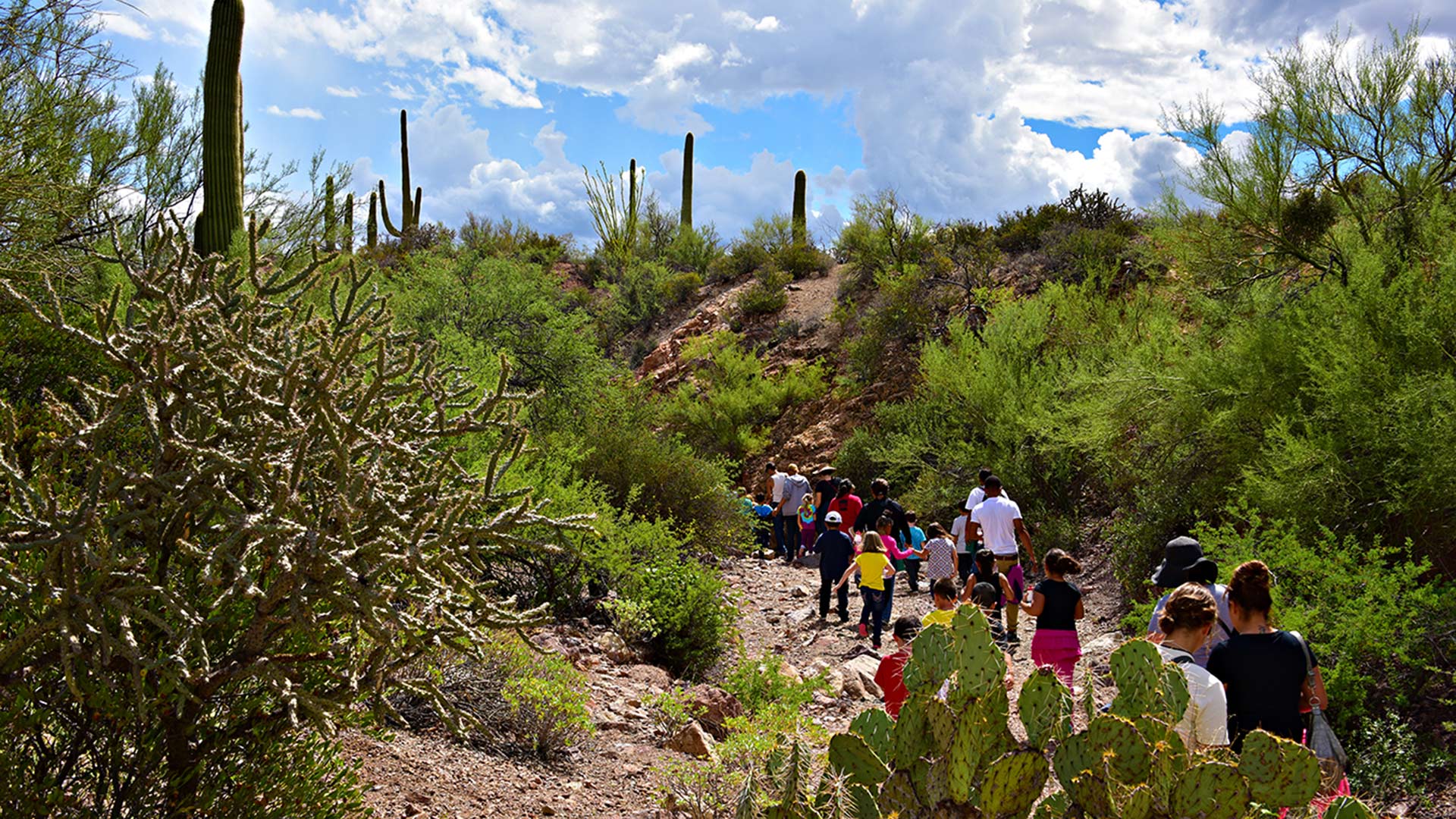 Students on a Camp Cooper field trip. 