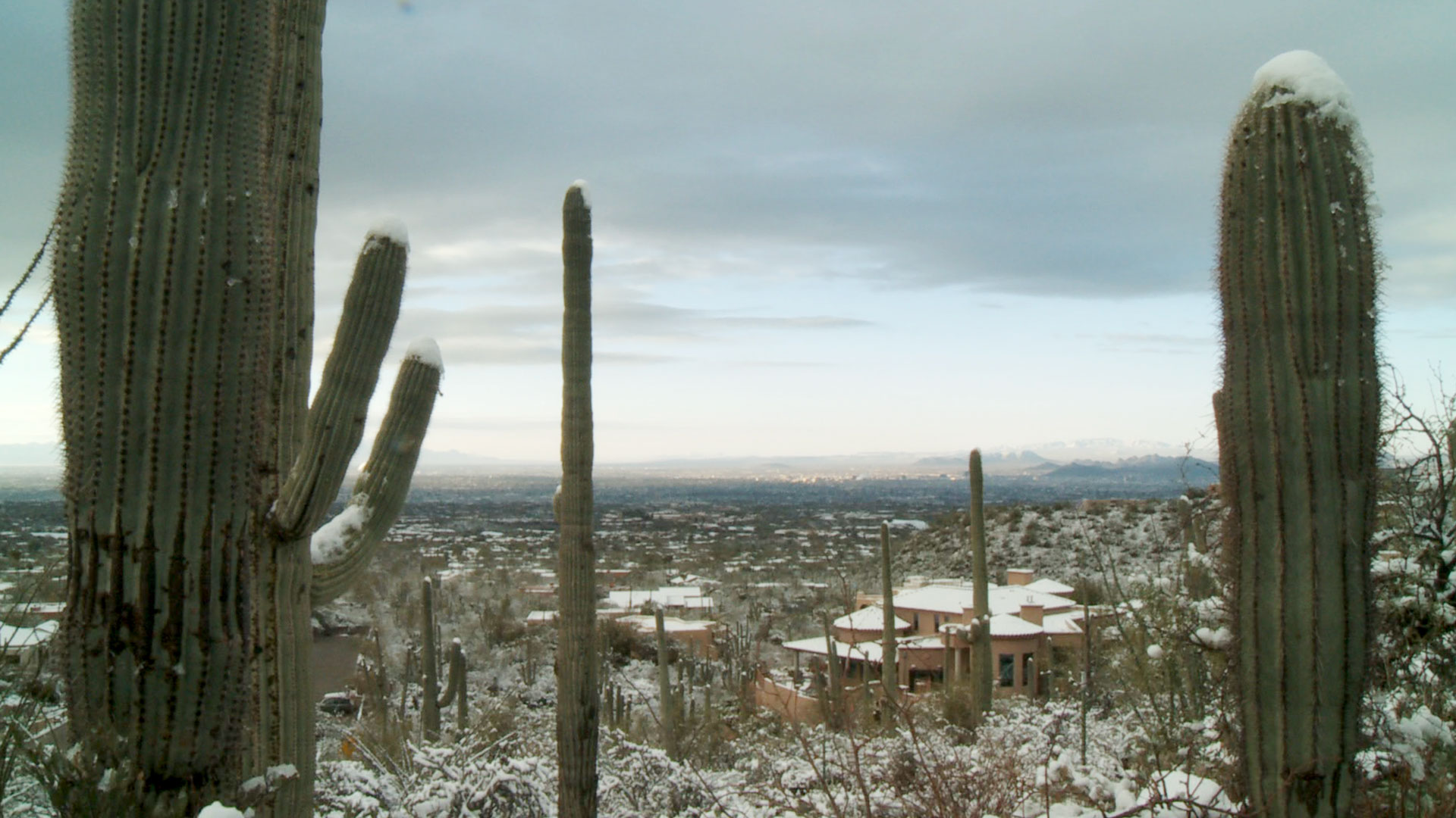 Tucson snowfall on the Finger Rock Trailhead, 2015.