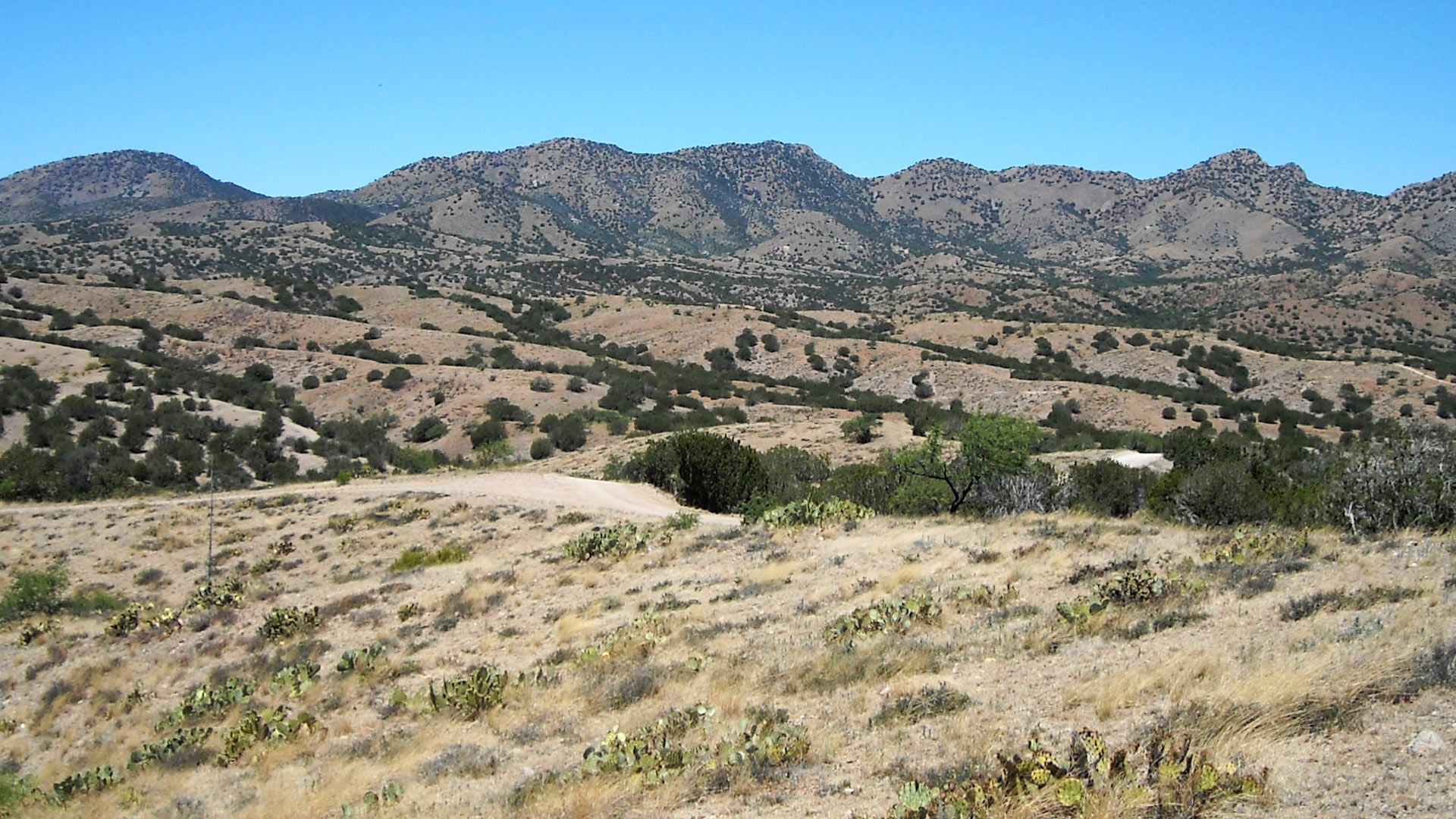 The proposed site of the Rosemont Copper mining project is in the Santa Rita Mountains in Southern Arizona.