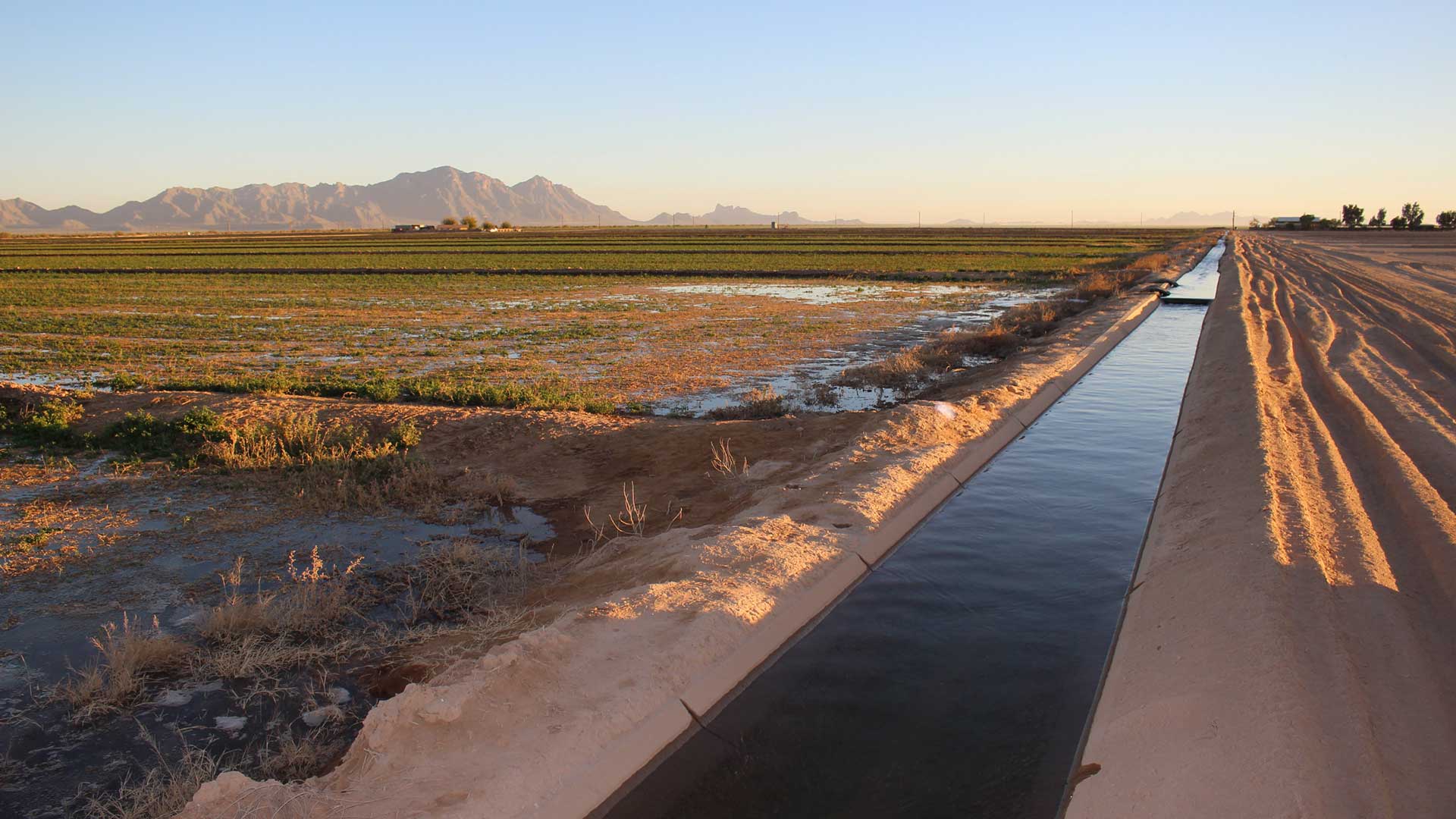 Water from the Colorado River flows through an irrigation canal at an alfalfa farm near Eloy, Arizona.
