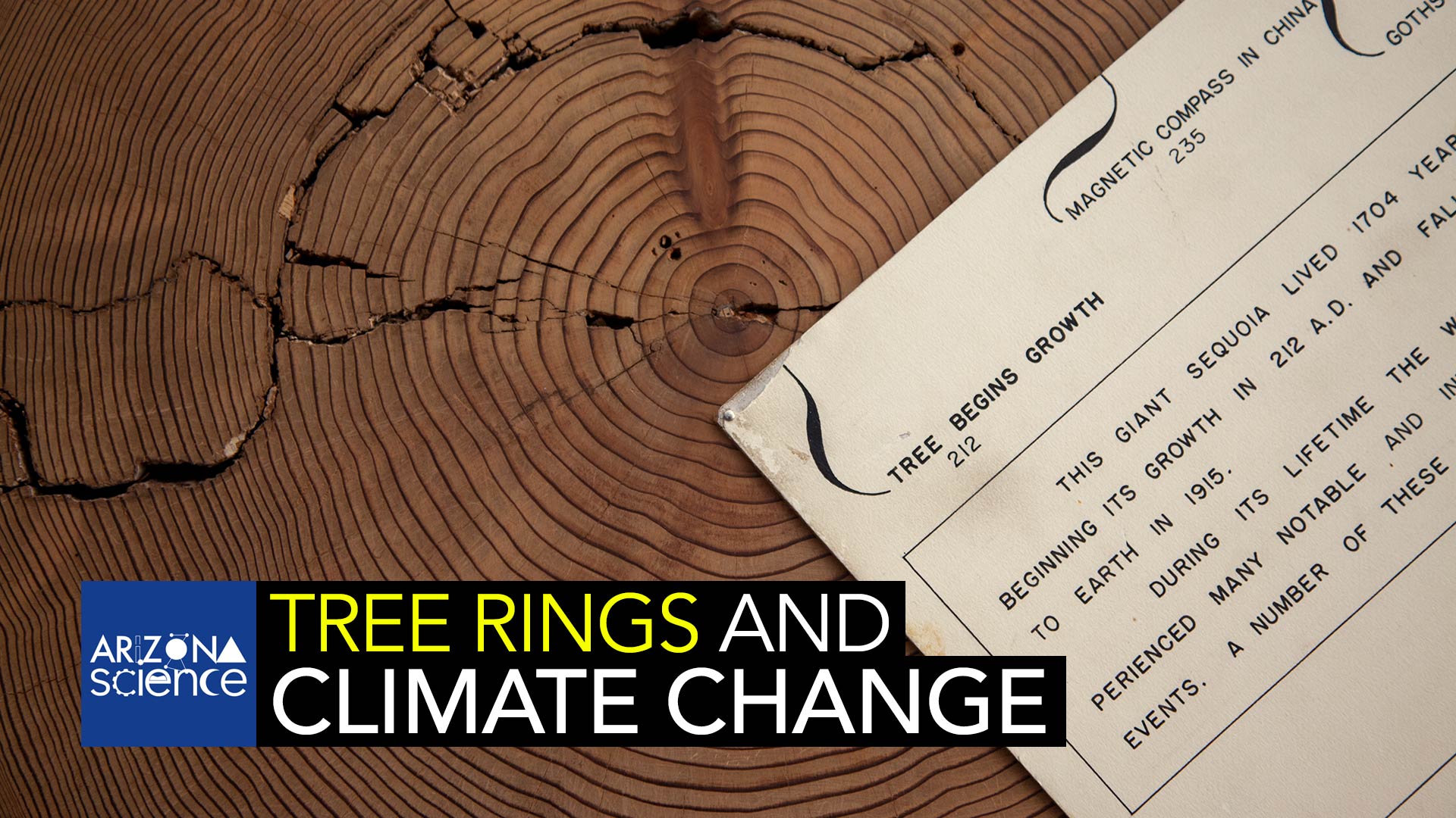 A display inside the Bryant Bannister Tree-Ring Building on the University of Arizona campus.