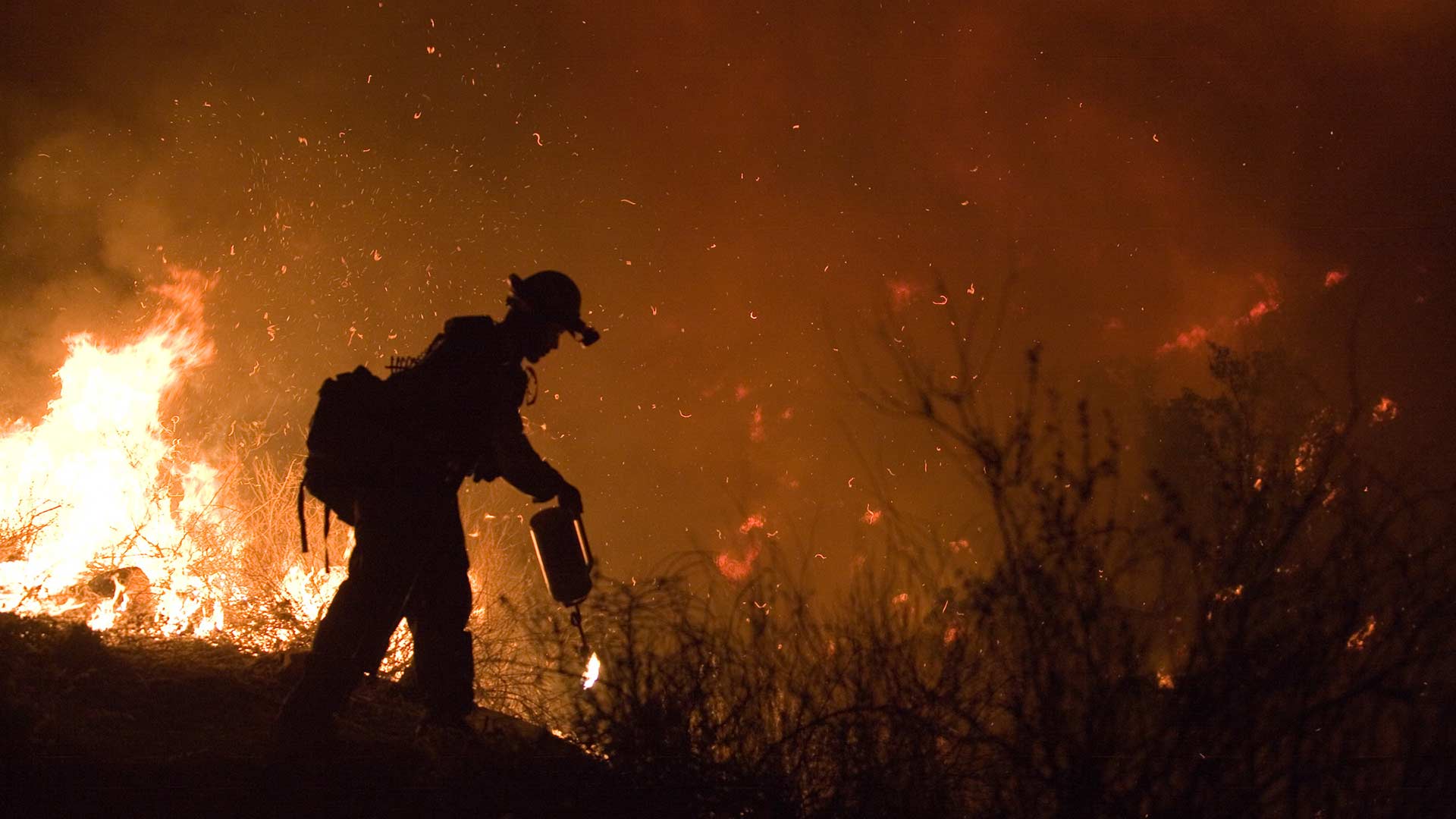 A firefighter sets a back burn to contain the Poomacha Fire in San Diego County, California, 2007.