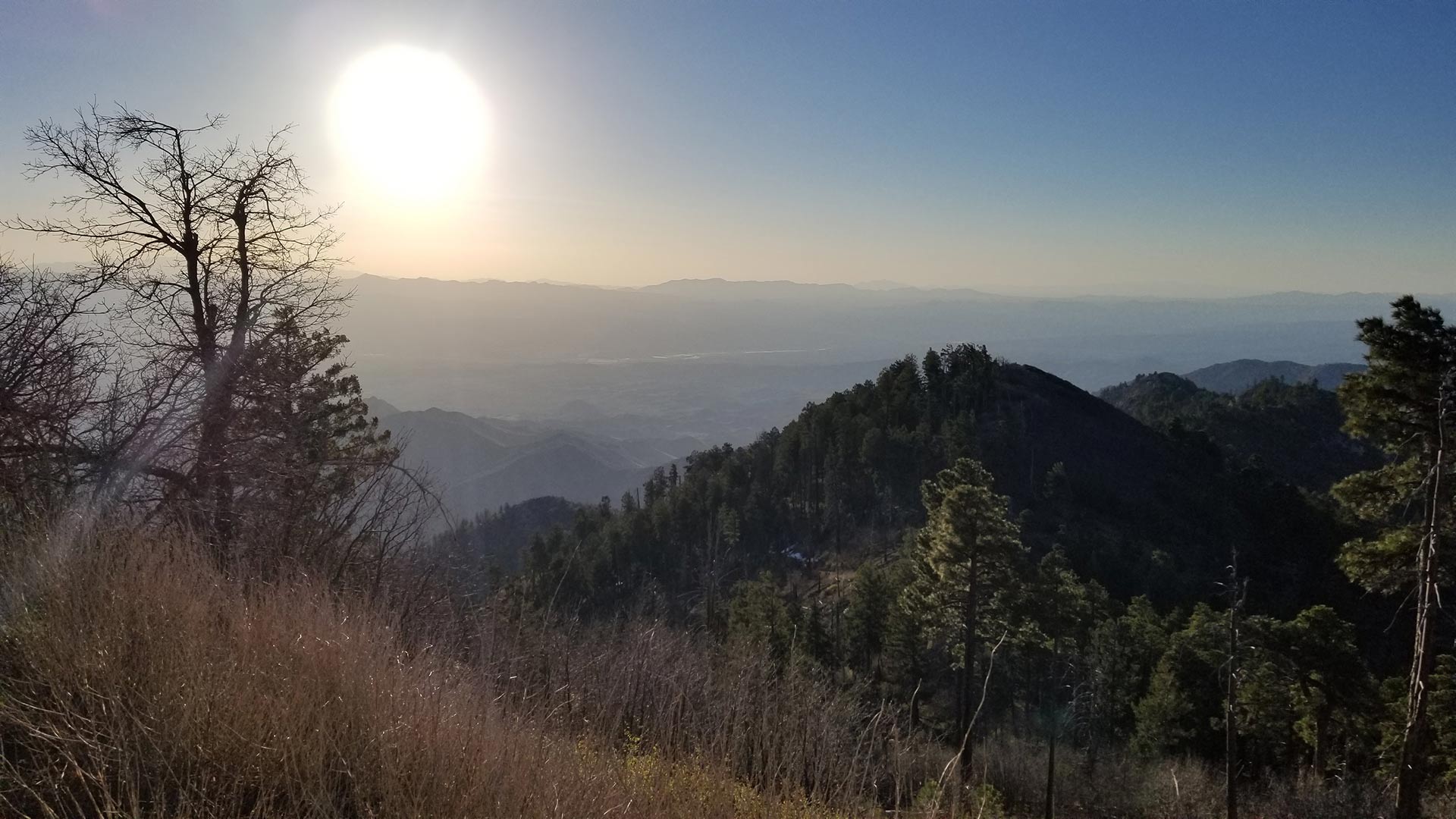 The sun rises over the Rincon Mountains in this view from Mt. Bigelow