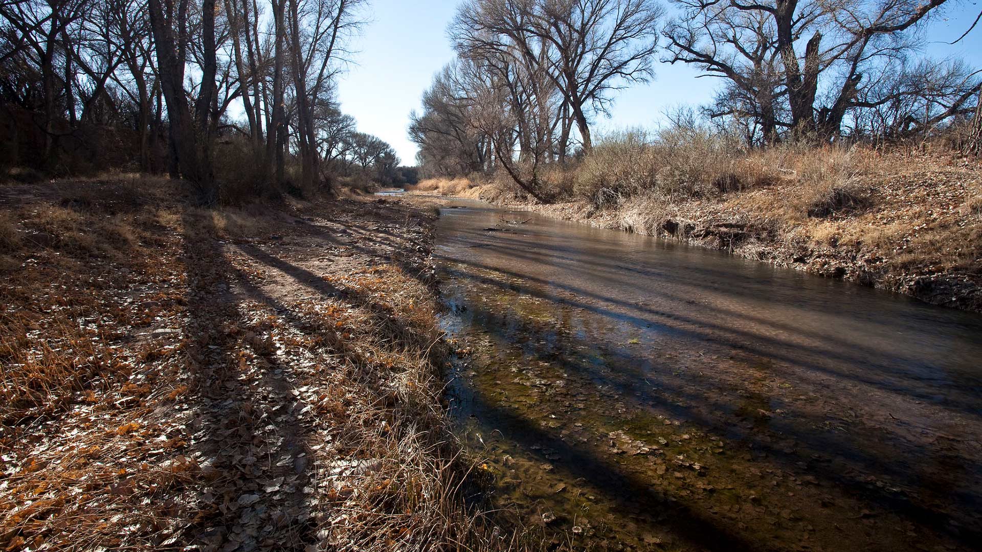 The San Pedro riparian area, containing about 40 miles of the upper San Pedro River, was designated by Congress as a National Conservation Area on November 18, 1988. 