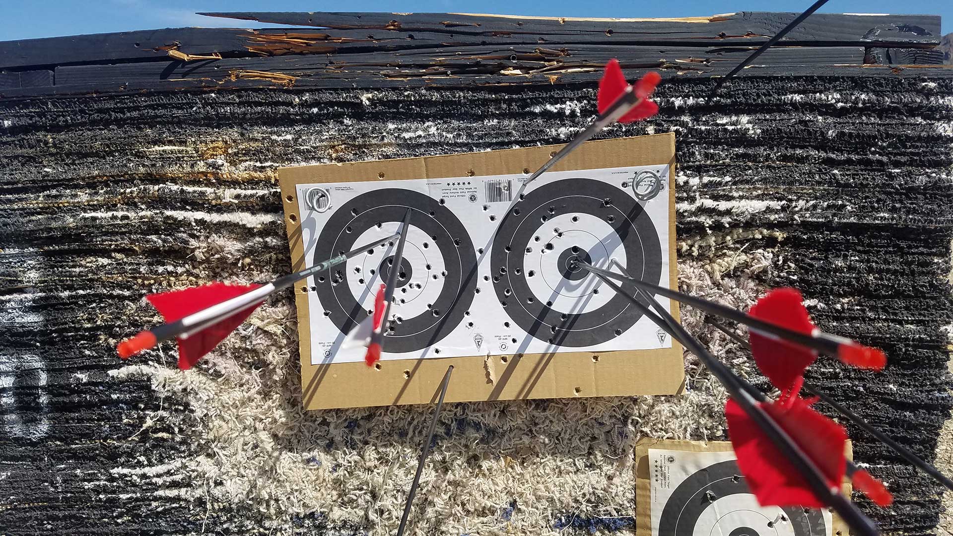 Arrows in an archery target at a range near Tucson.