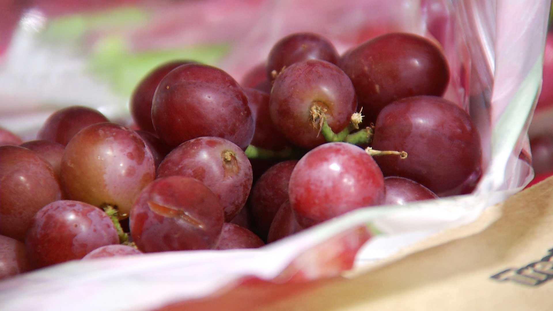grapes border
