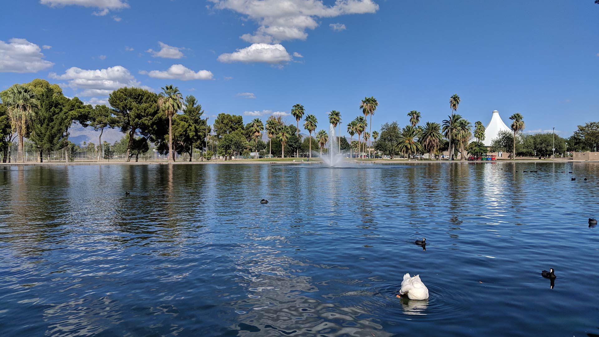 pond reid park