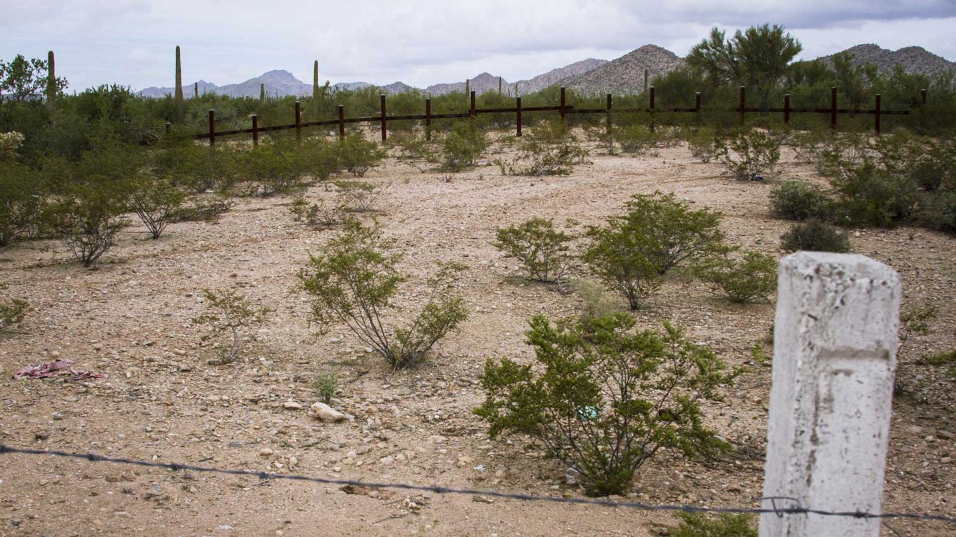 Vehicle barriers form the border west of Sonoyta, Sonora, south of Organ Pipe Cactus National Monument.
