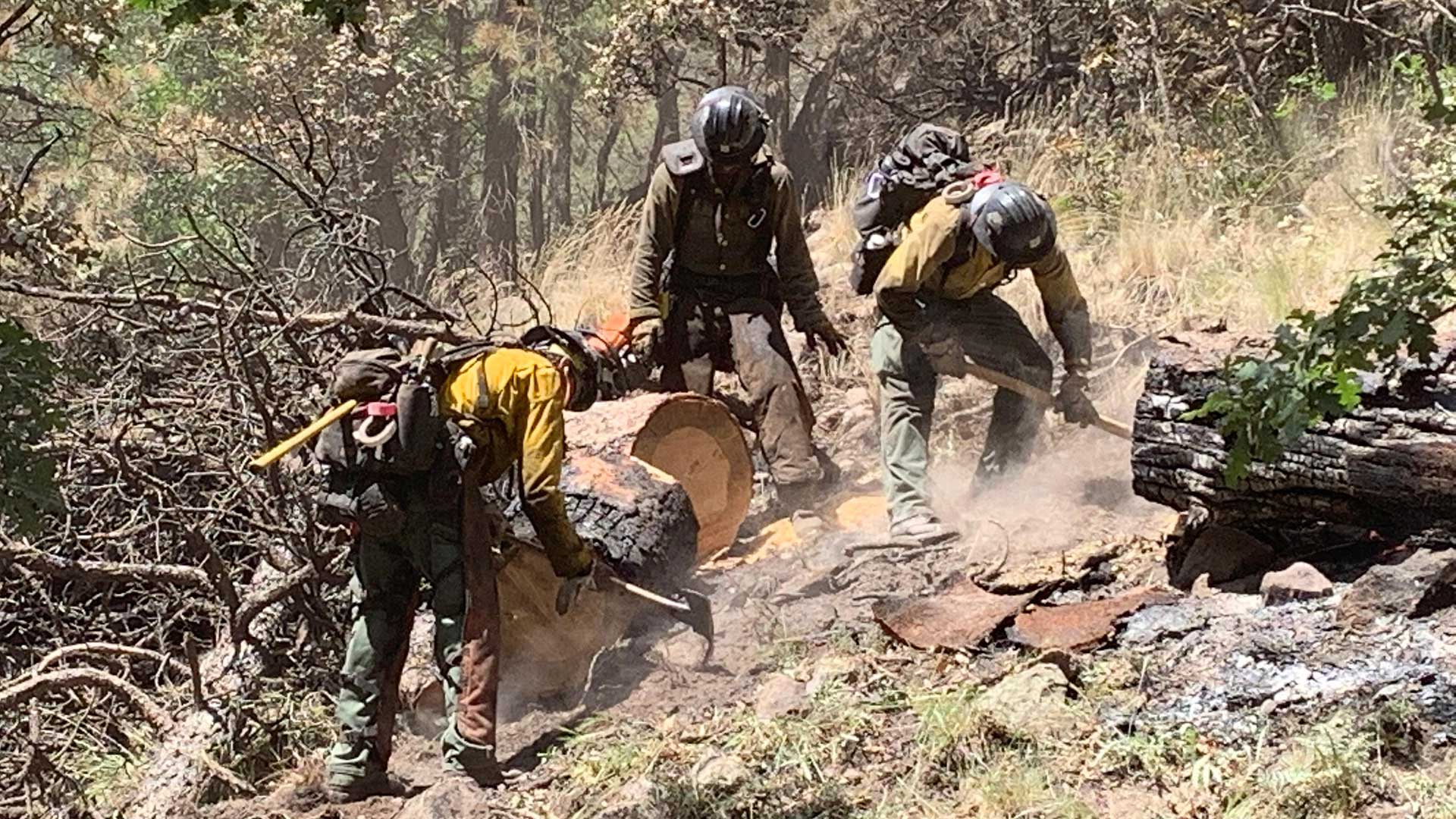 Photo posted to a government incident tracking website of firefighting crews working on the containment line of the Museum Fire, July 28, 2019.