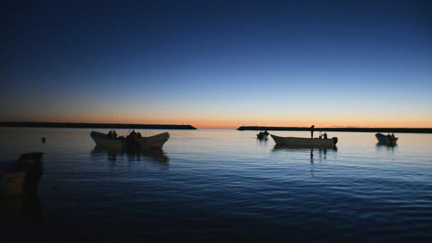 Fishing boats float on the Sea of Cortez outside the little town of San Felipe, Baja California, in October 2018.