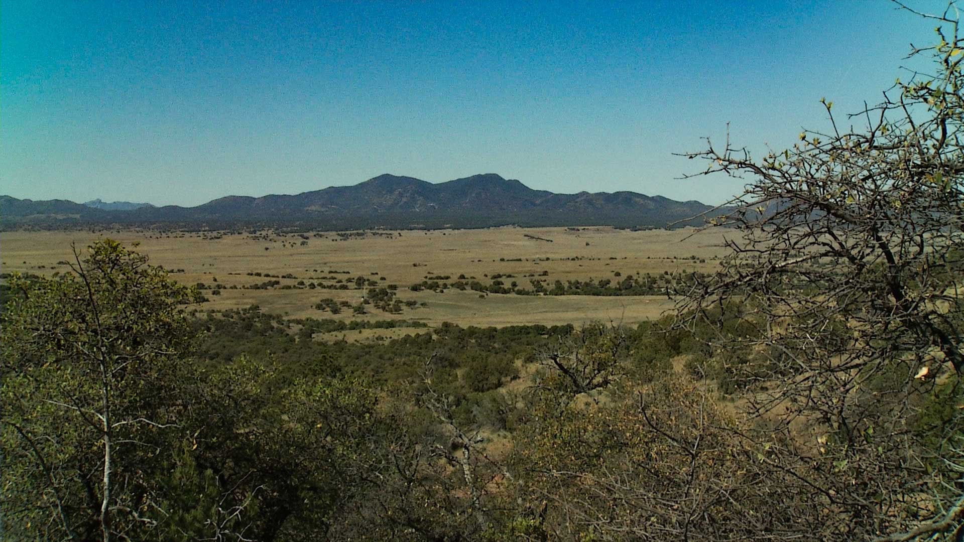 Looking west toward the San Rafael Valley and the Patagonia Mountains.