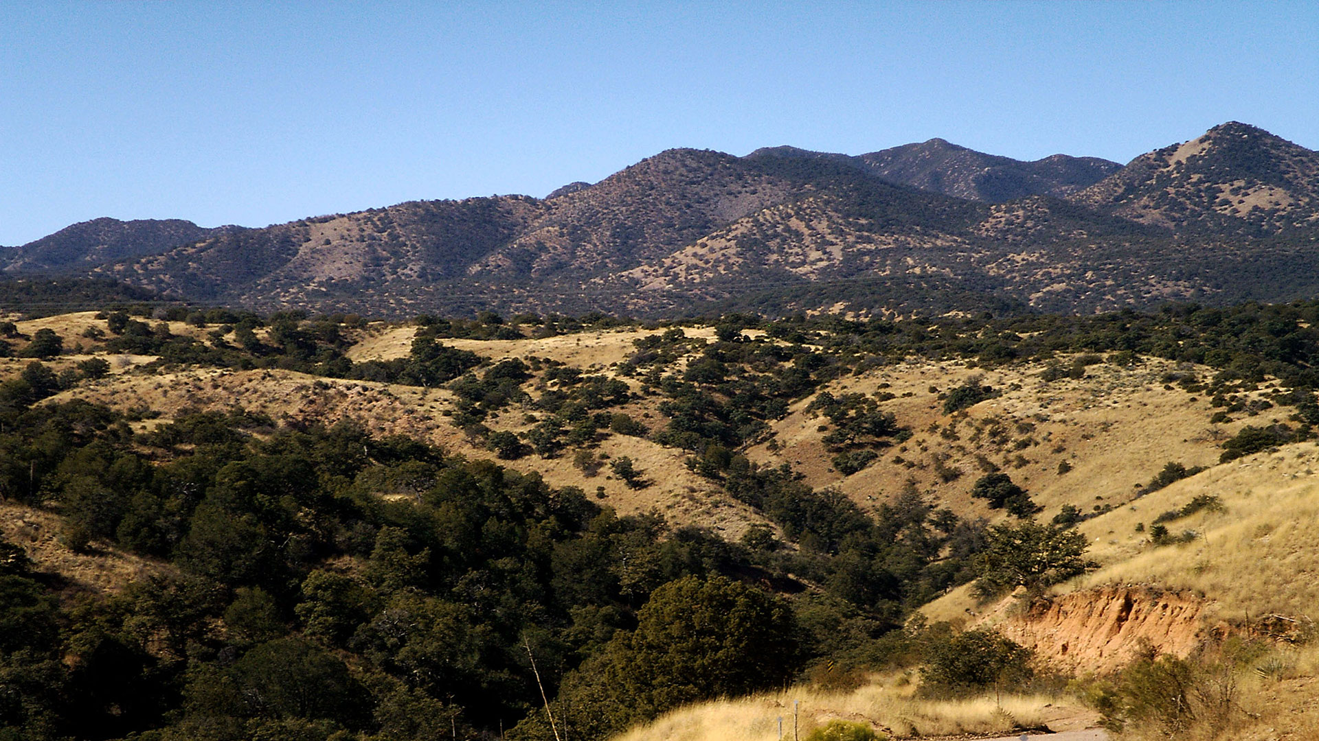 The Patagonia Mountains in Southern Arizona, taken in January 2006. 