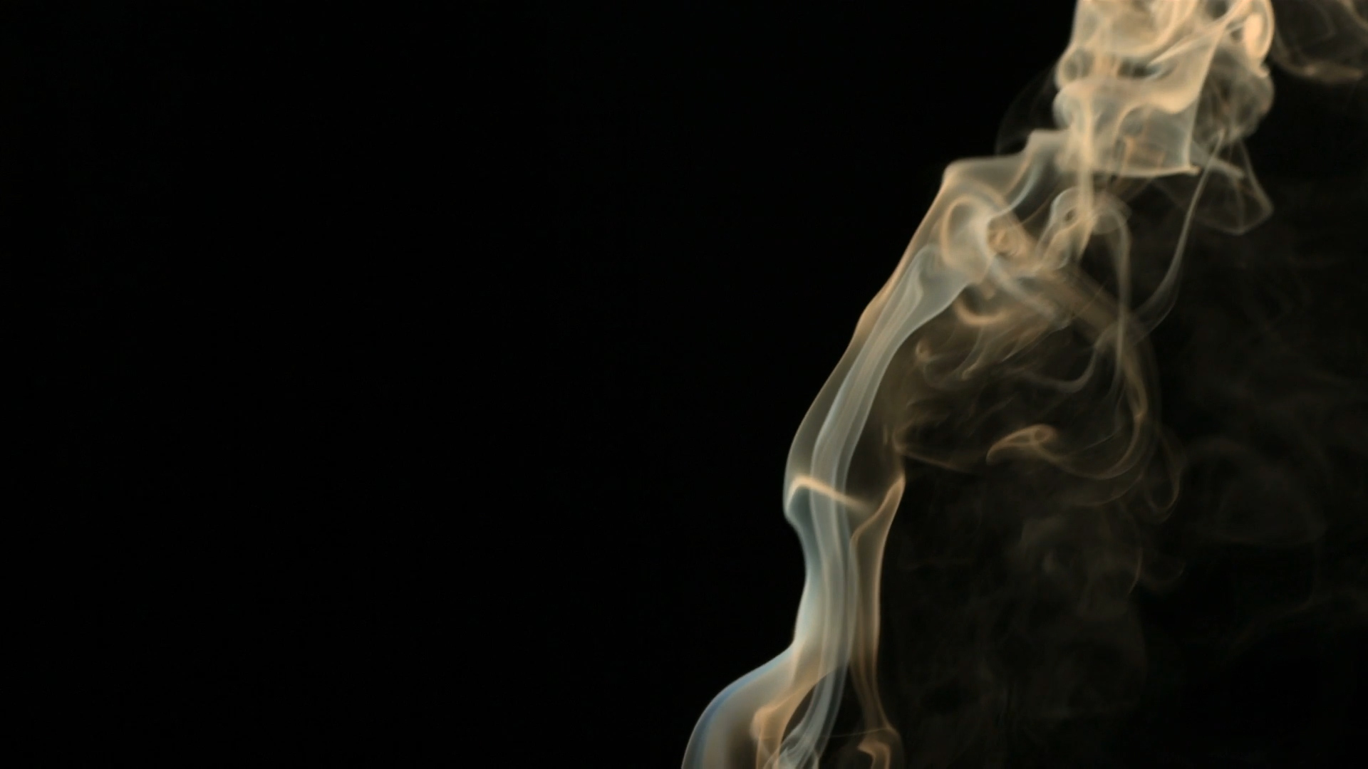 Smoke from a cigarette.