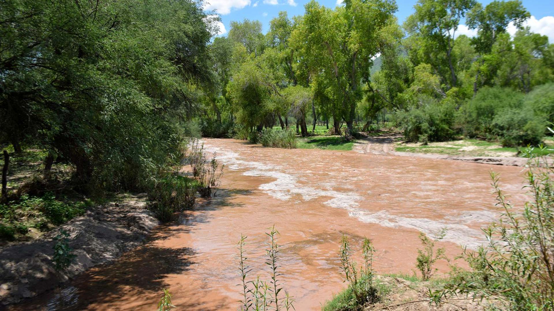 The Rio Sonora flows through the town of Baviácora, Sonora, July 30, 2019.