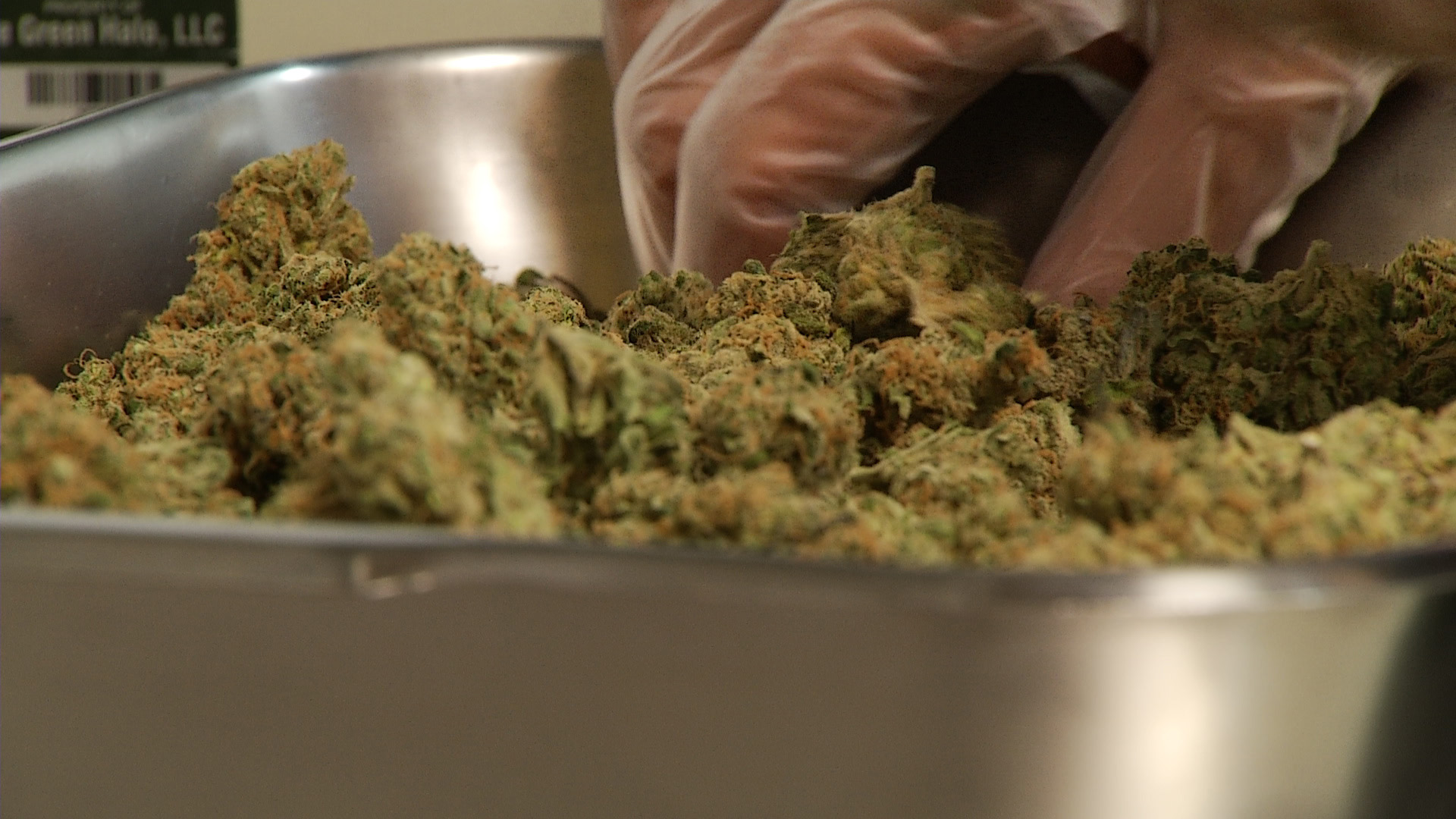 A dispensary employee weighing and portioning marijuana. 