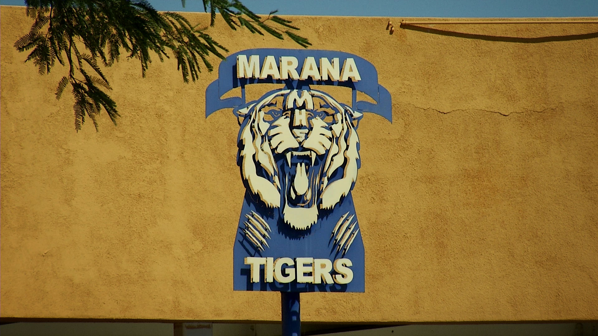 A logo of Marana High School's tiger mascot decorates a wall in a courtyard on campus. 