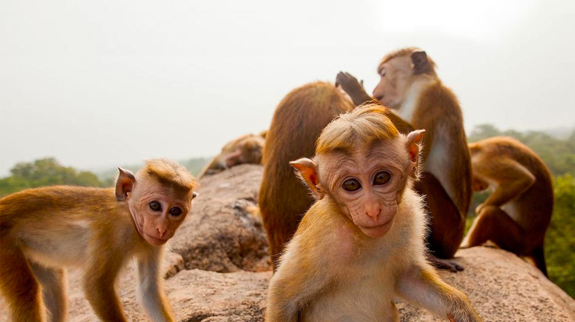 Animal Babies: First Year on Earth : Testing Limits
