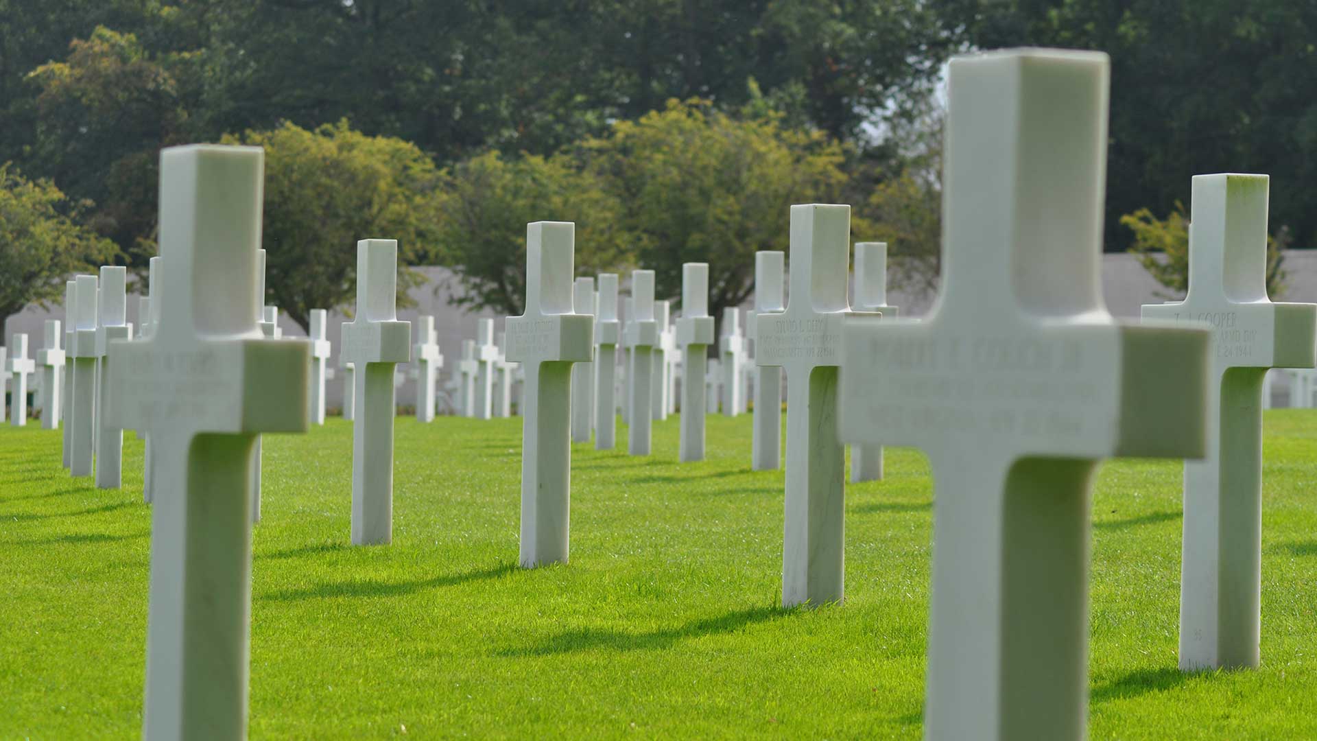 crosses cemetery