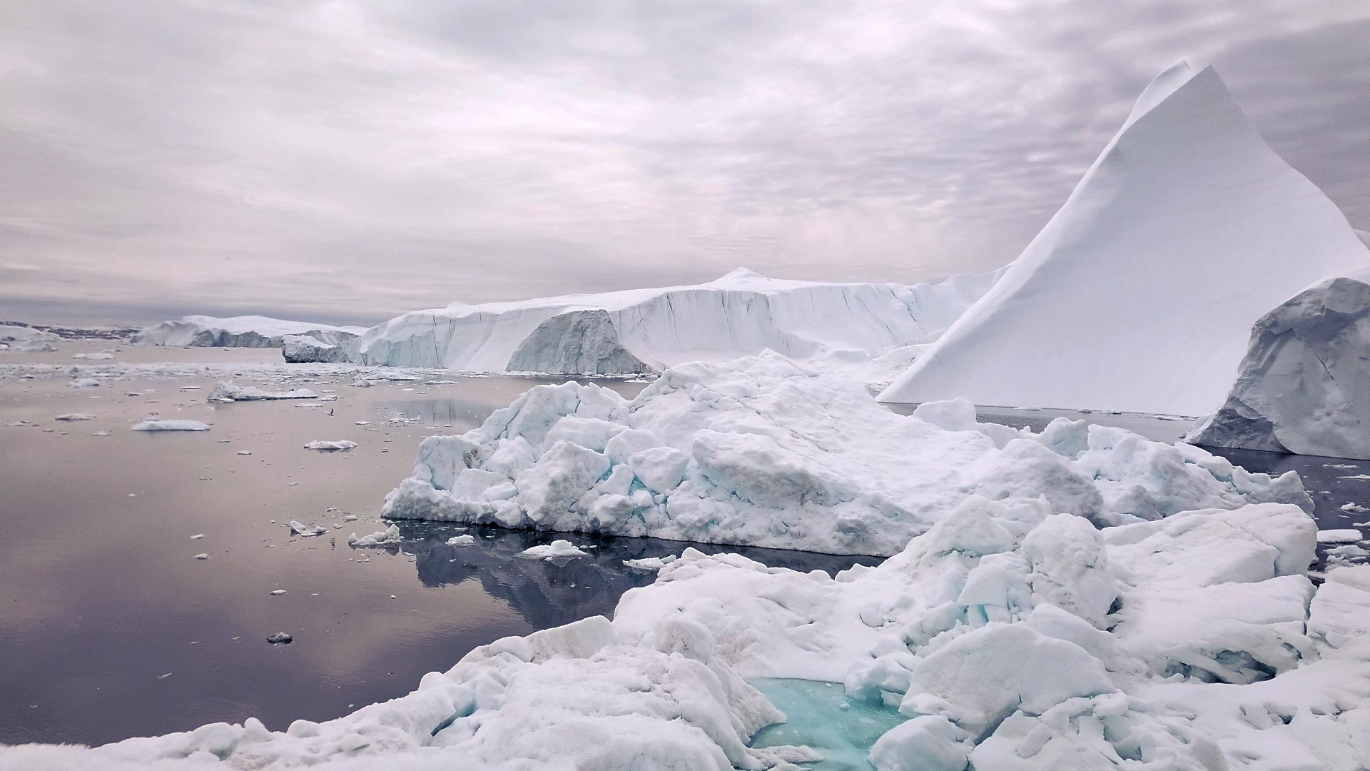NOVA “Polar Extremes”