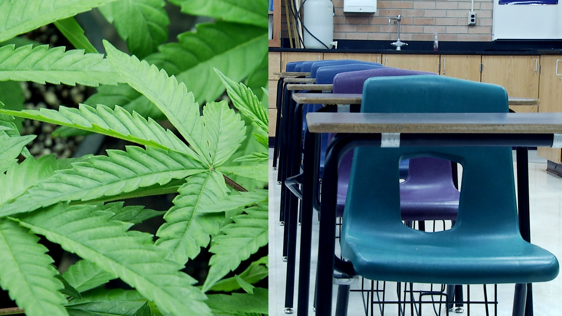 Proposition 207 would legalize recreational marijuana in Arizona. Proposition 208 would create a wealth tax in order to boost funding for educators. 