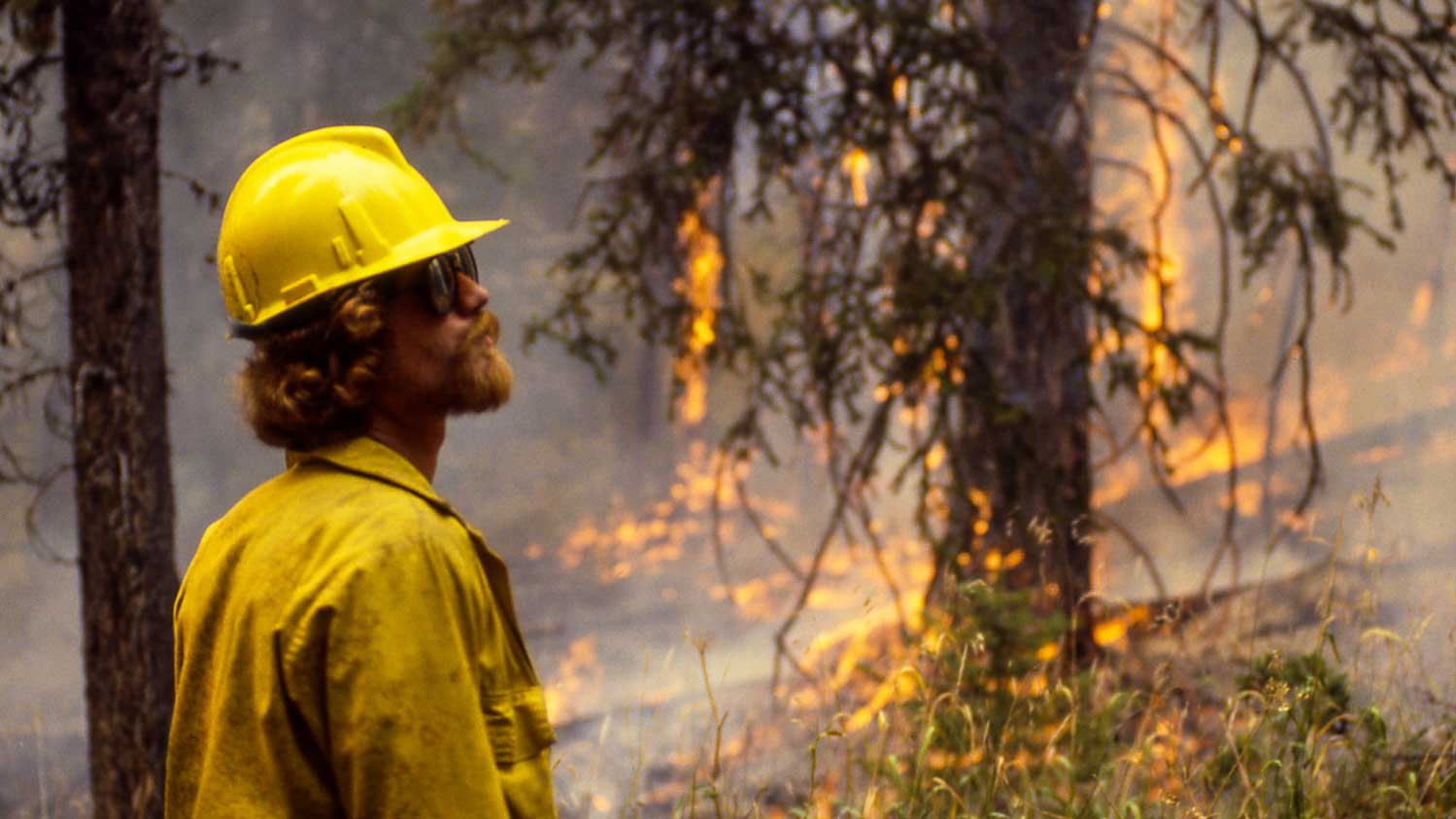 A firefighter watches the flames in Yellowstone National Park during the 1988 fires.