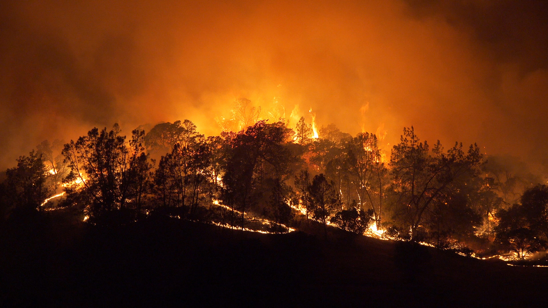 The West in Burning