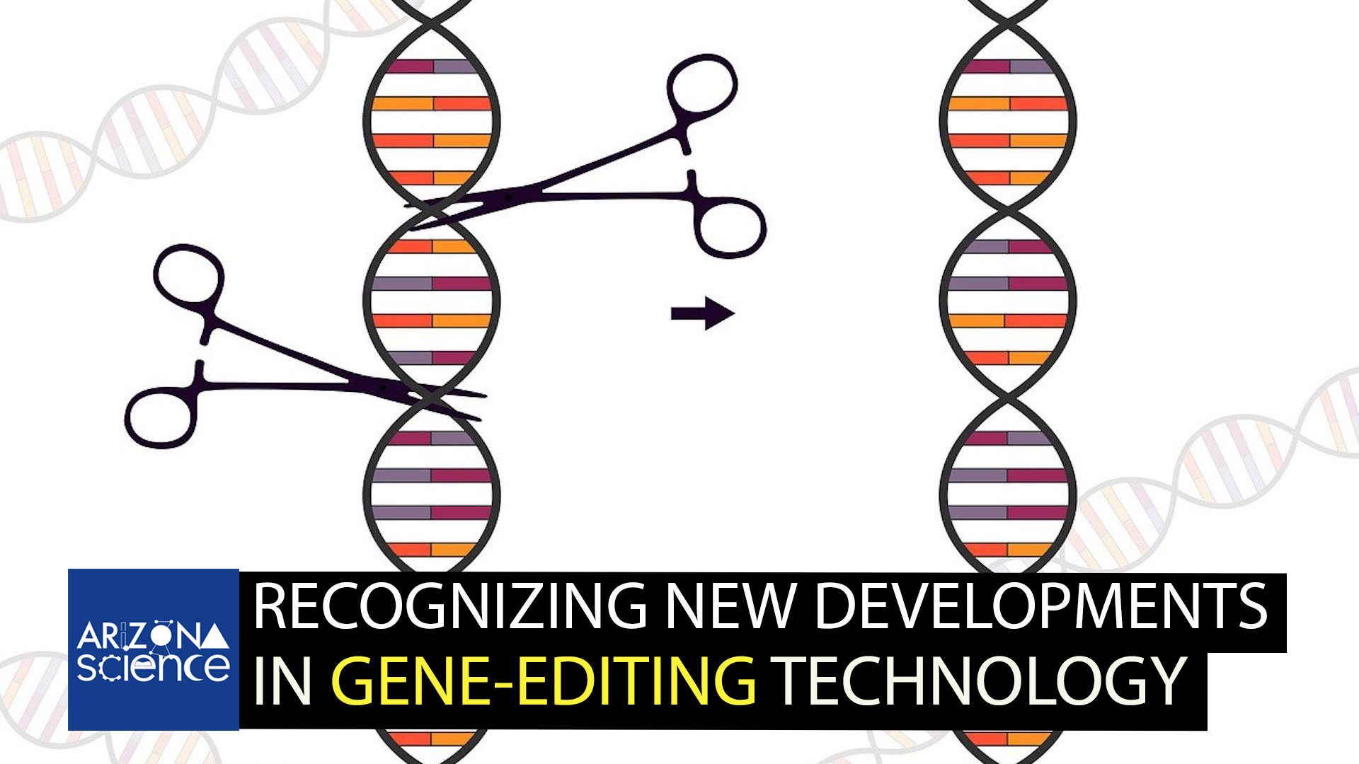  Scientists compare gene editing to cutting and splicing DNA.