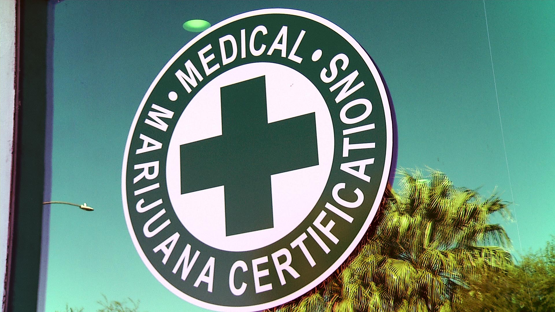 Palm trees reflect off the storefront of a business in midtown Tucson that certifies medical marijuana cards.