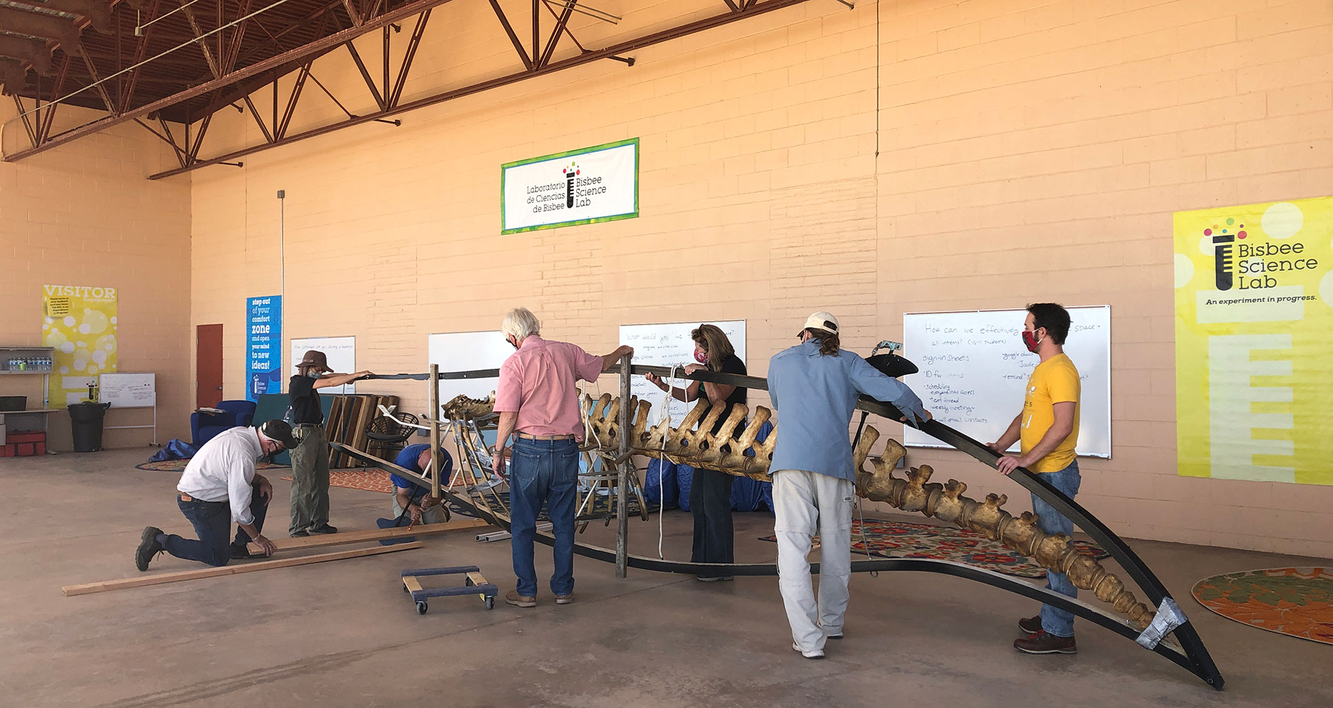 The Minke whale gets unloaded in Bisbee. 