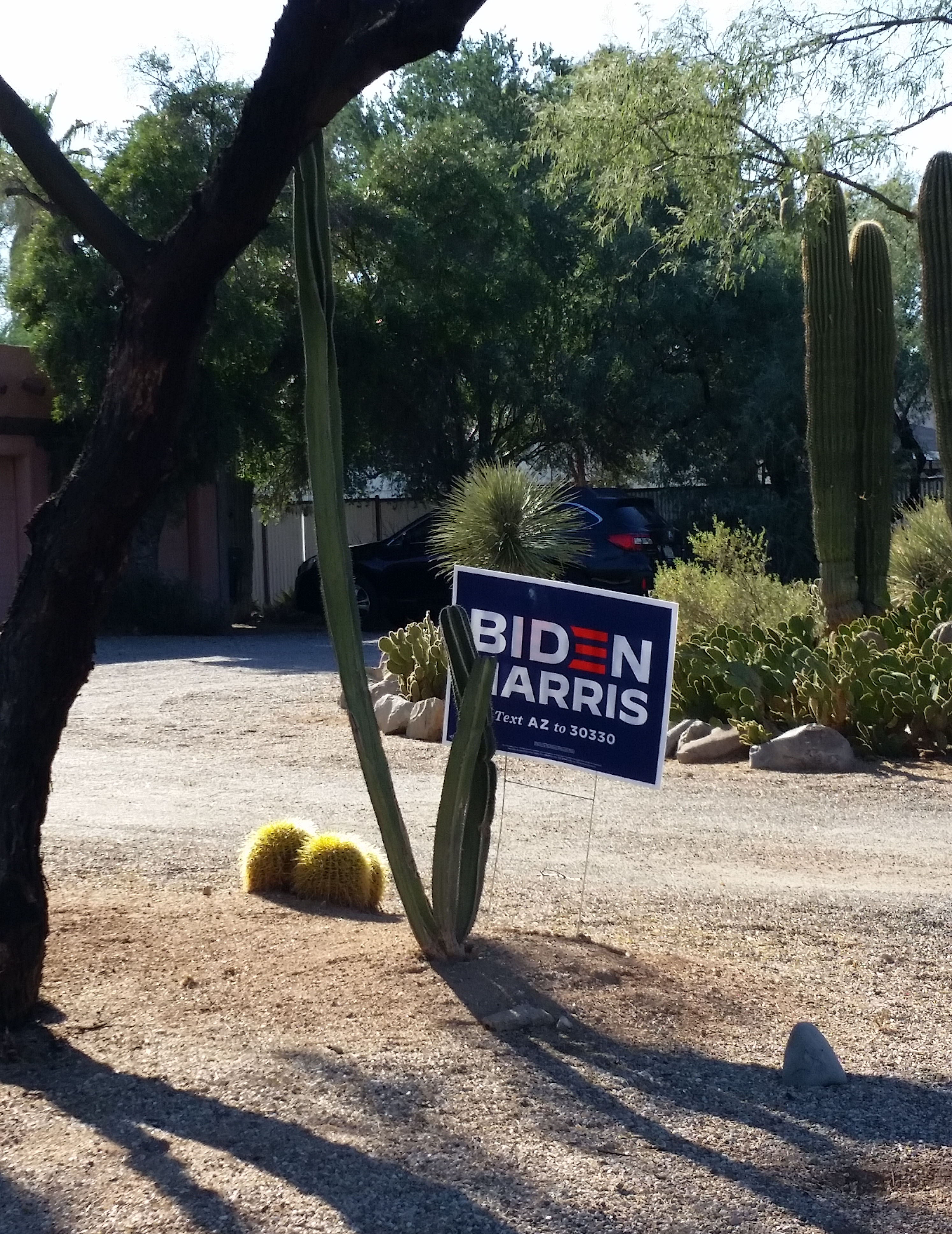 2020 election sign spotlight