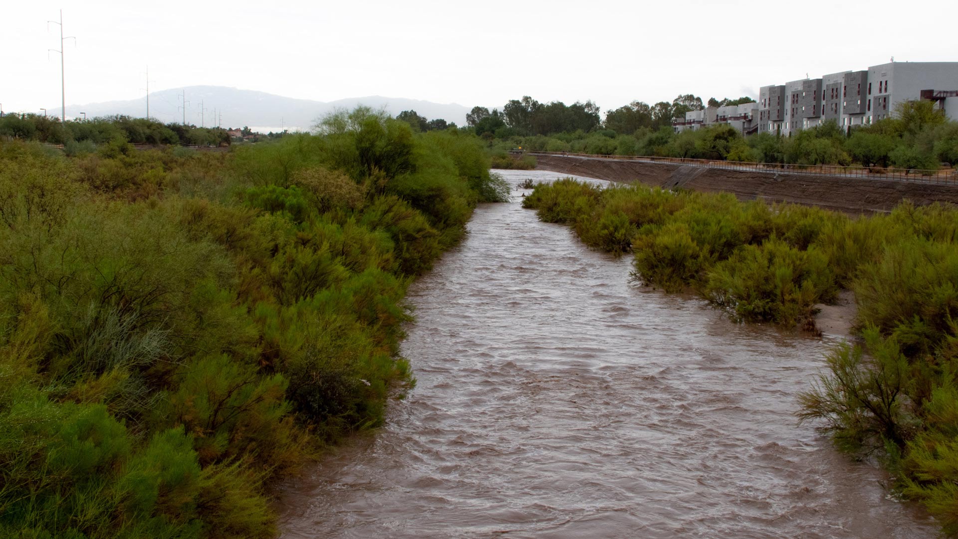 Rillito River flows after a monsoon storm, July 2020