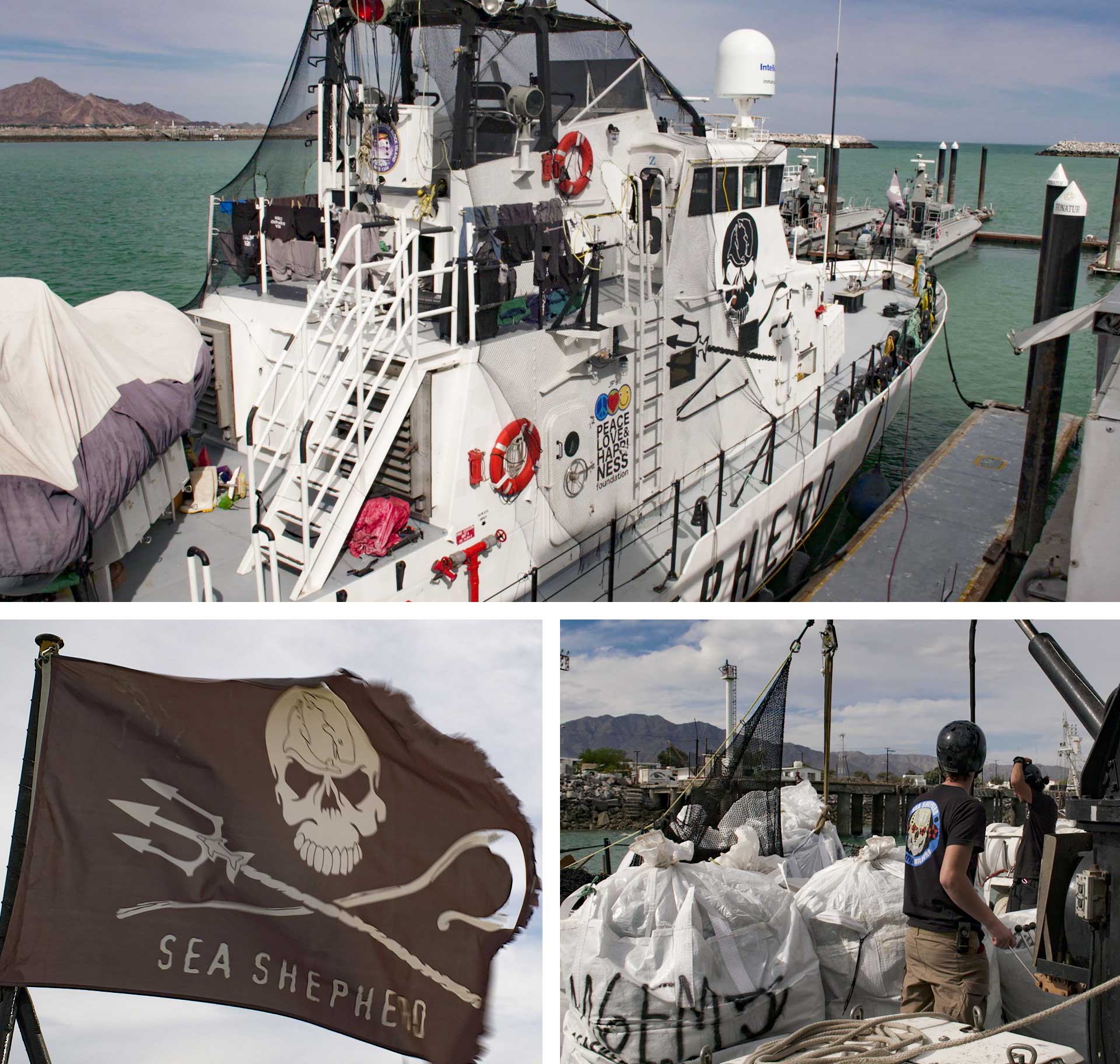 Sea Shepherd's Farley Mowat ship.