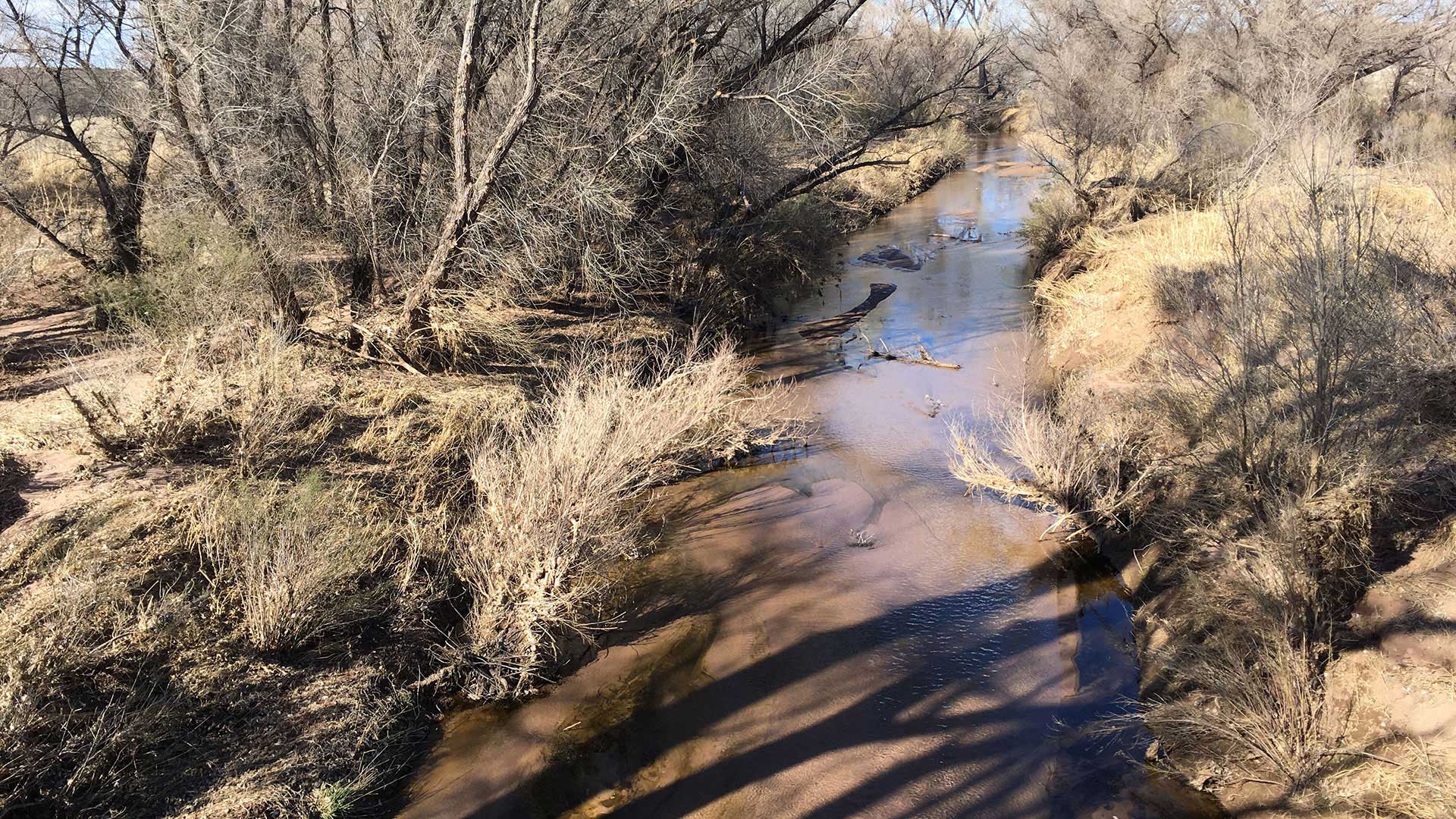 The San Pedro River in late January, 2020.