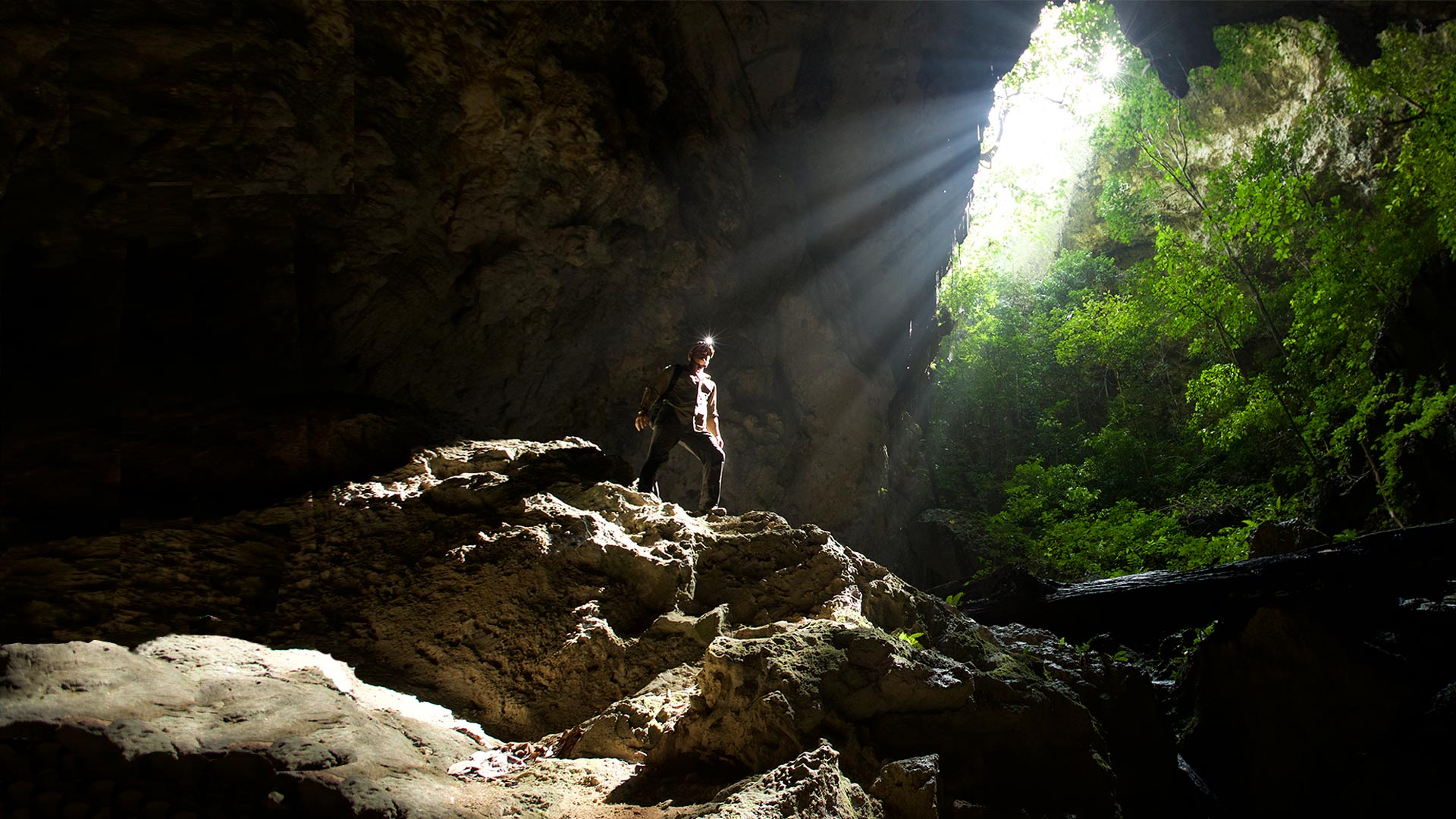 Steve stands under a colapsed doline inside Tebo Cave which is home to the resurgence of the Marang River after it has completed its journey from the East, all the way under the Gergaji Karst Block.