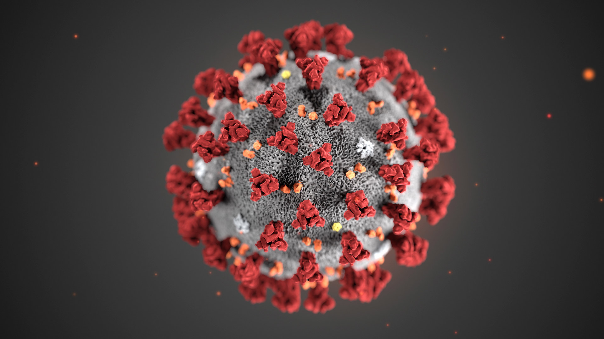 Coronavirus Illustration