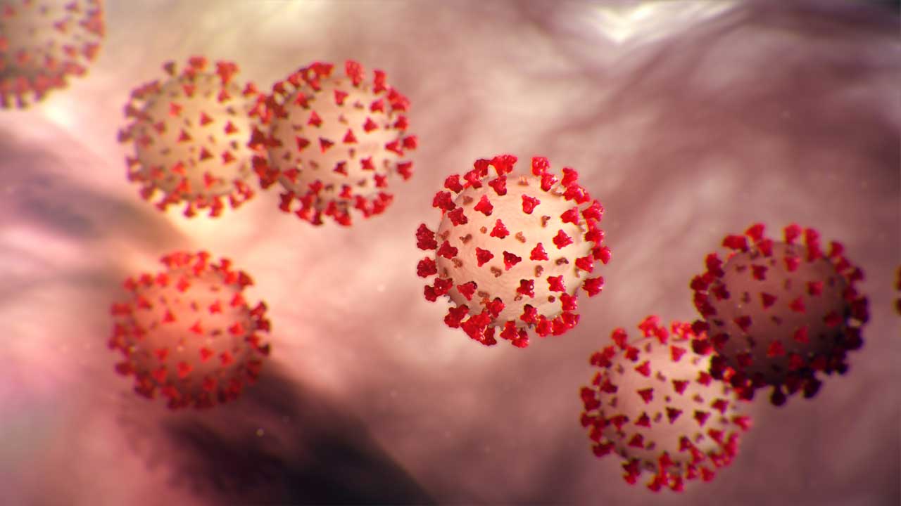 A Centers for Disease Control image of the novel coronavirus that causes COVID-19.