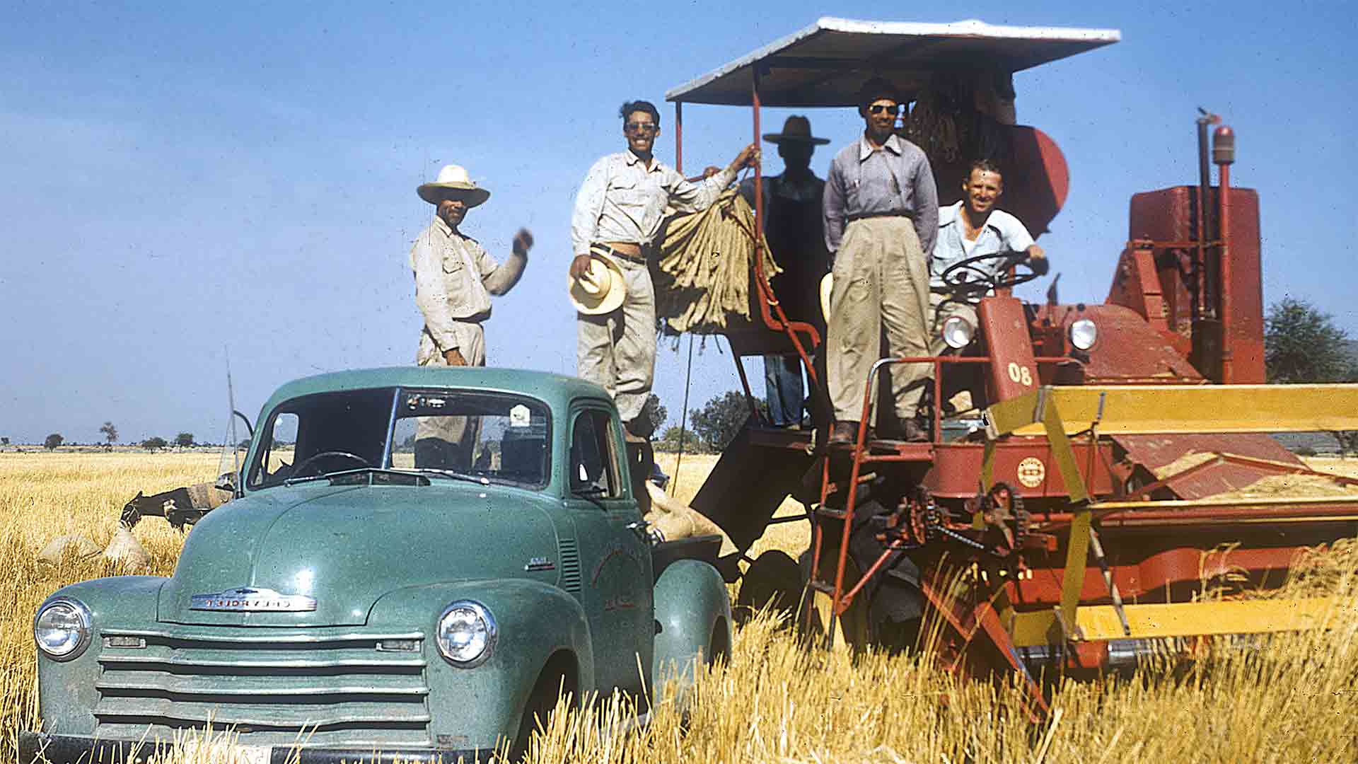 Norman Borlaug (behind steering wheel) with Mexican field technicians who contributed to early seed production of improved wheat varieties, in a field near Ciudad Obregón, Sonora, northern Mexico, c. 1952.