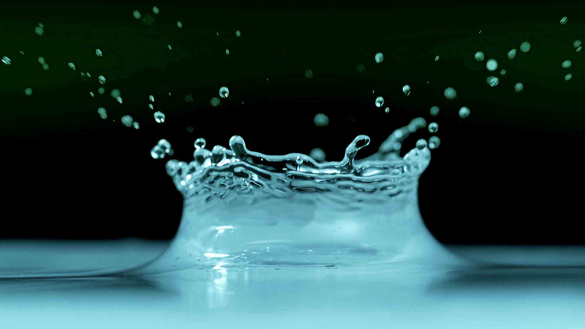 H2O : THE MOLECULE THAT MADE US : Civilizations