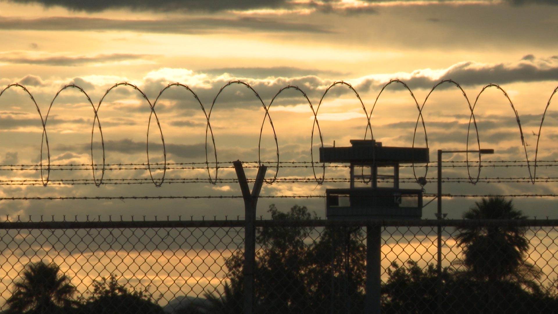 Barbed wire jail prison hero.