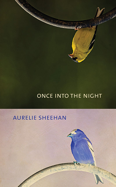 once into the night book cover unsized image