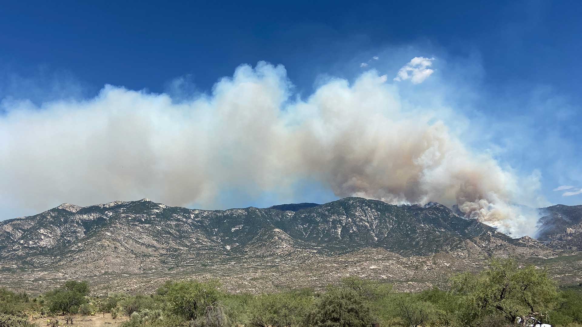 bighorn fire golder ranch june 16