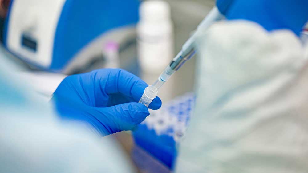 A collected sample undergoes coronavirus testing.